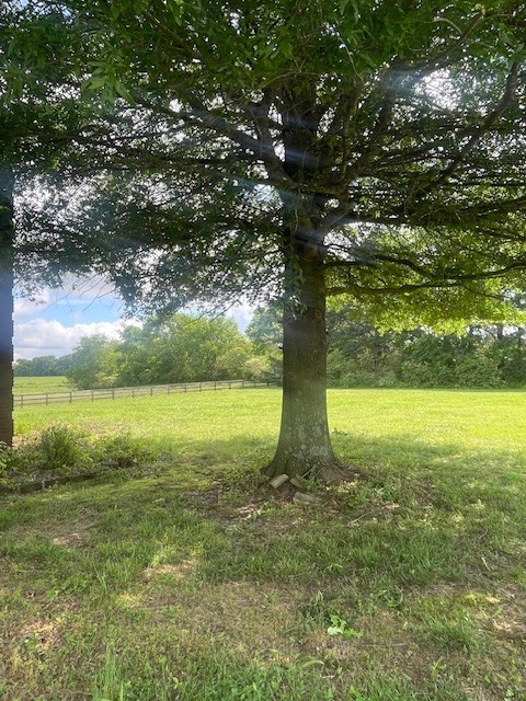 Lawrenceburg, Tennessee, 38464, United States, 5 Bedrooms Bedrooms, ,4 BathroomsBathrooms,Residential,For Sale,1918040