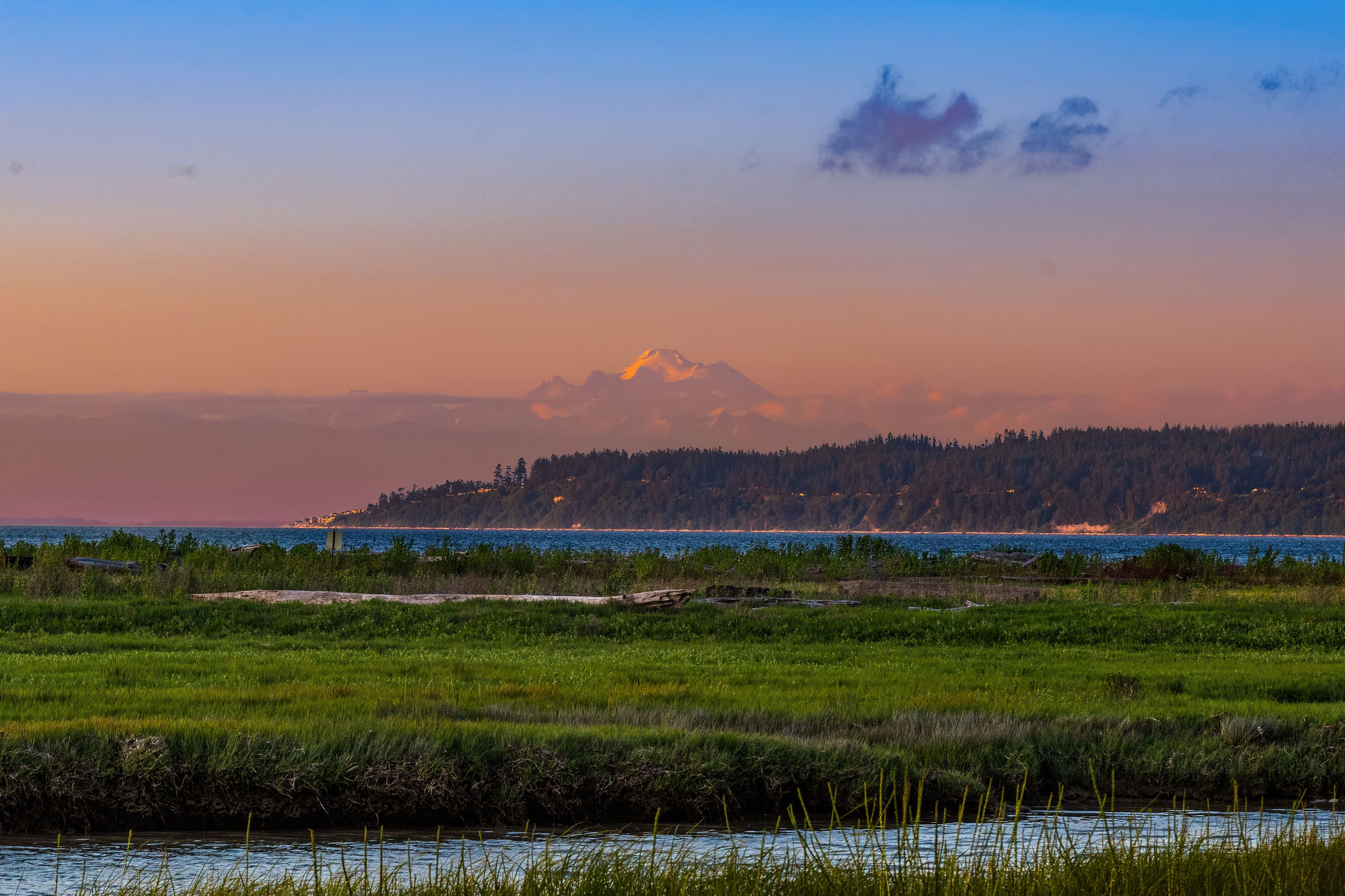  507 Race Road, Coupeville, WA 98239 - 物件實景