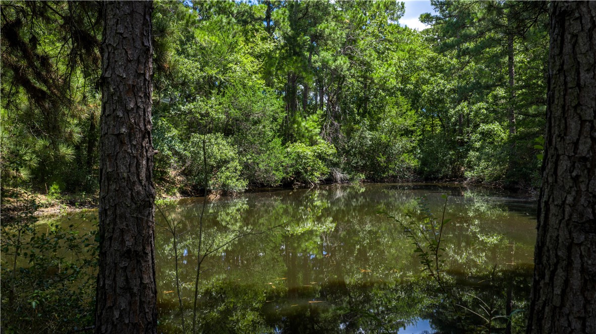 Midway, Texas, 75852, United States, 1 Bedroom Bedrooms, ,1 BathroomBathrooms,Residential,For Sale,1957289