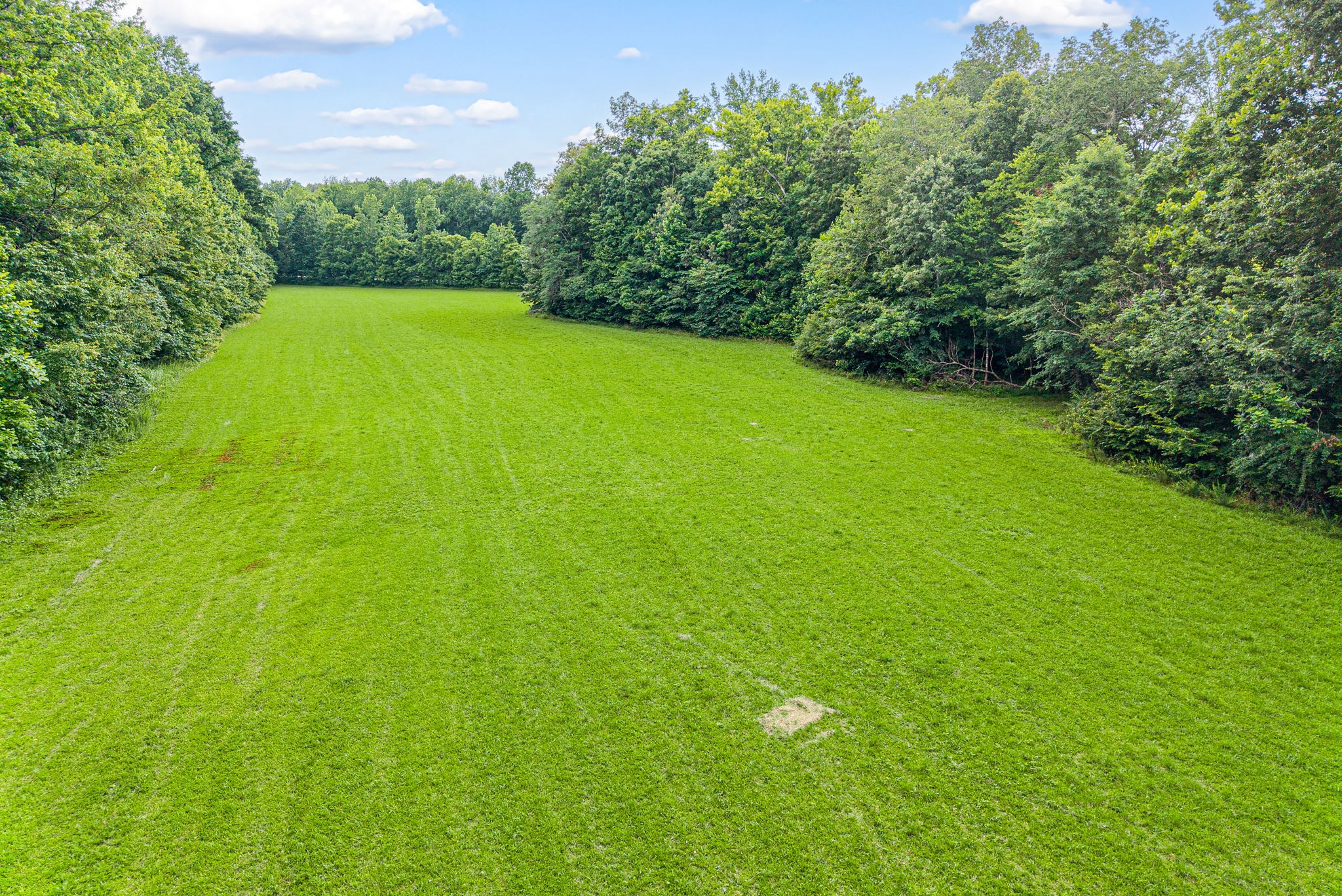  196 Wildlife Road, Dover, TN, 37058 - 物件實景