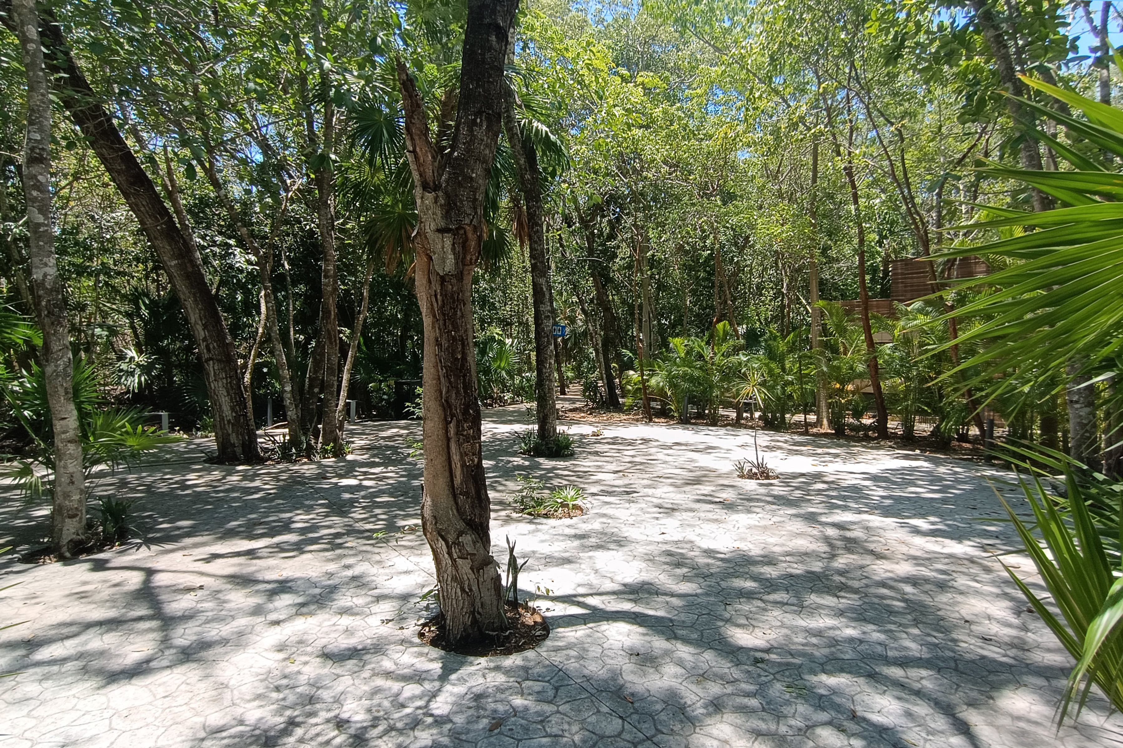  Luxury Residence Jungle Experience - 物件實景