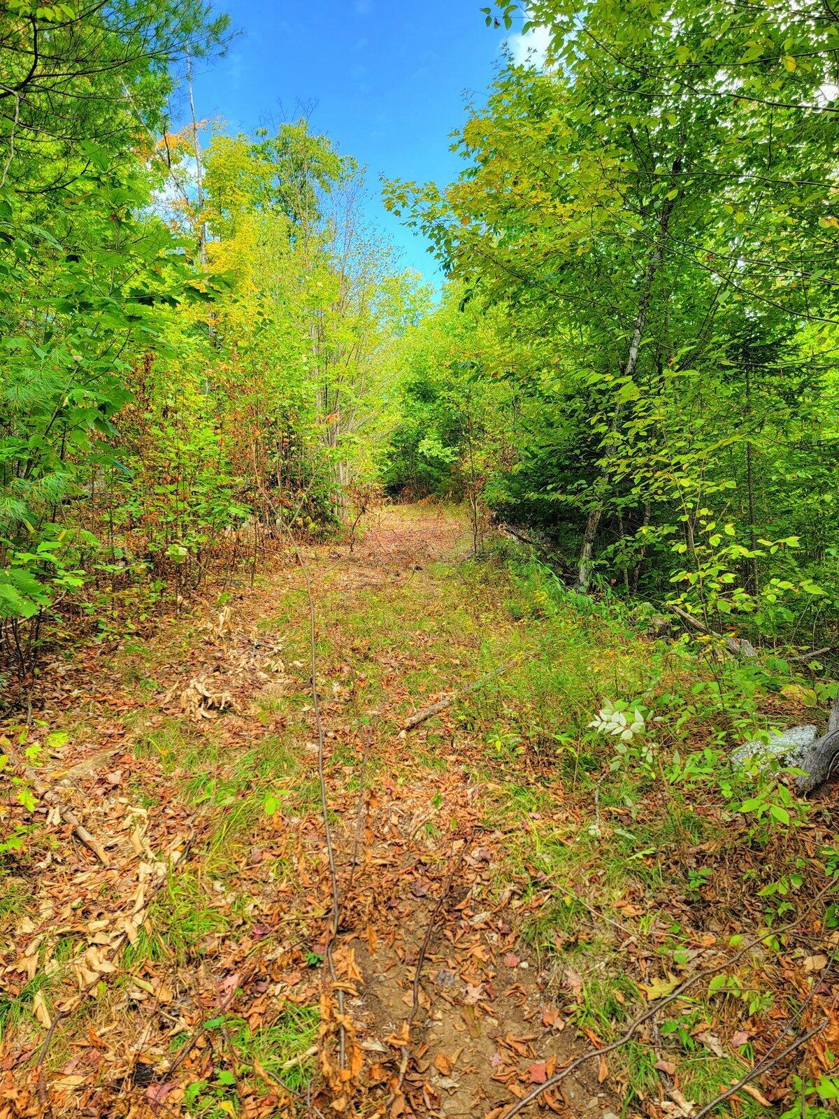 Carthage, Maine, 04224, United States, 1 Bedroom Bedrooms, ,3 BathroomsBathrooms,Residential,For Sale,1954915