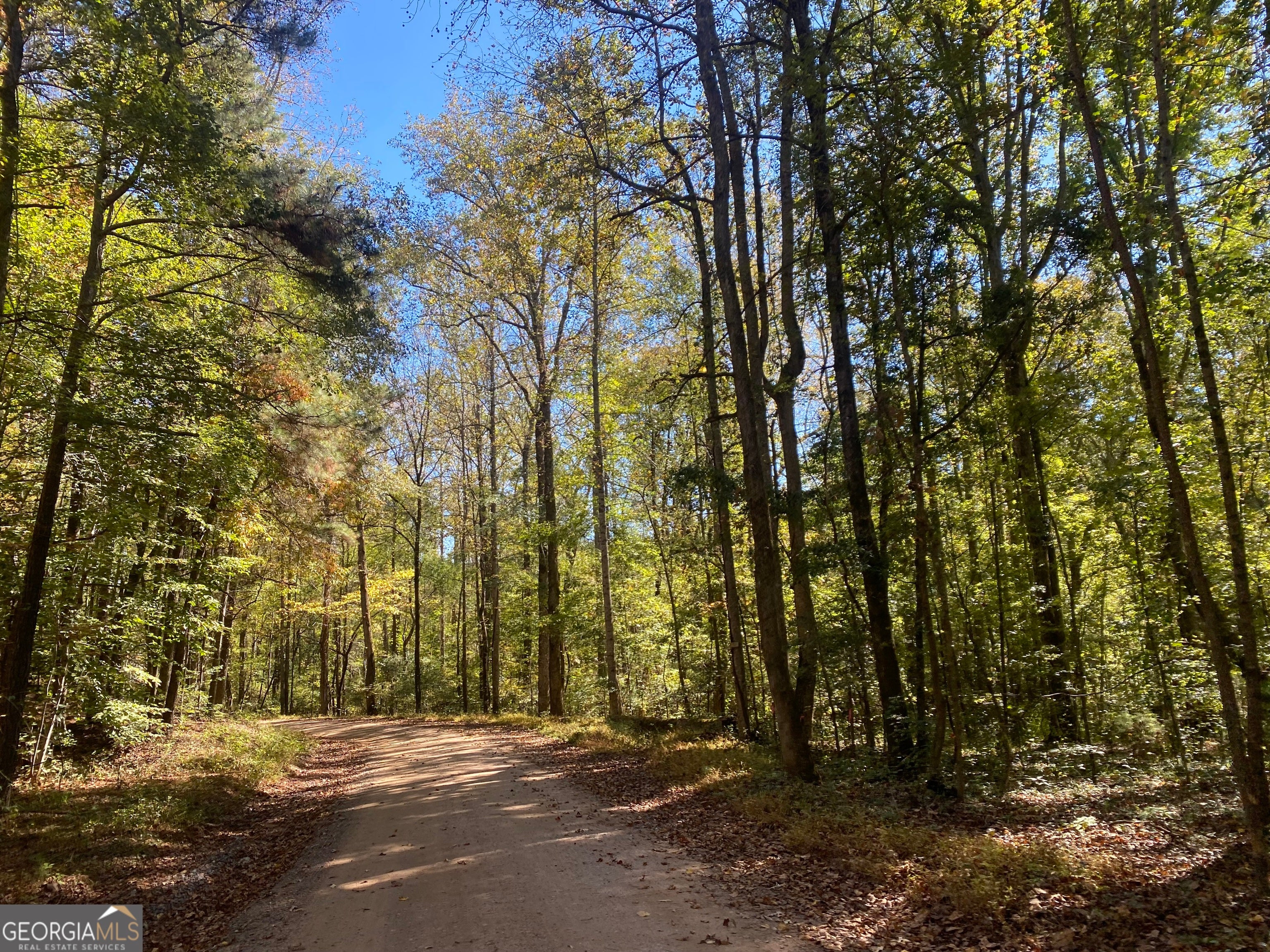 Forsyth, Georgia, 31029, United States, ,Land,For Sale,1907989