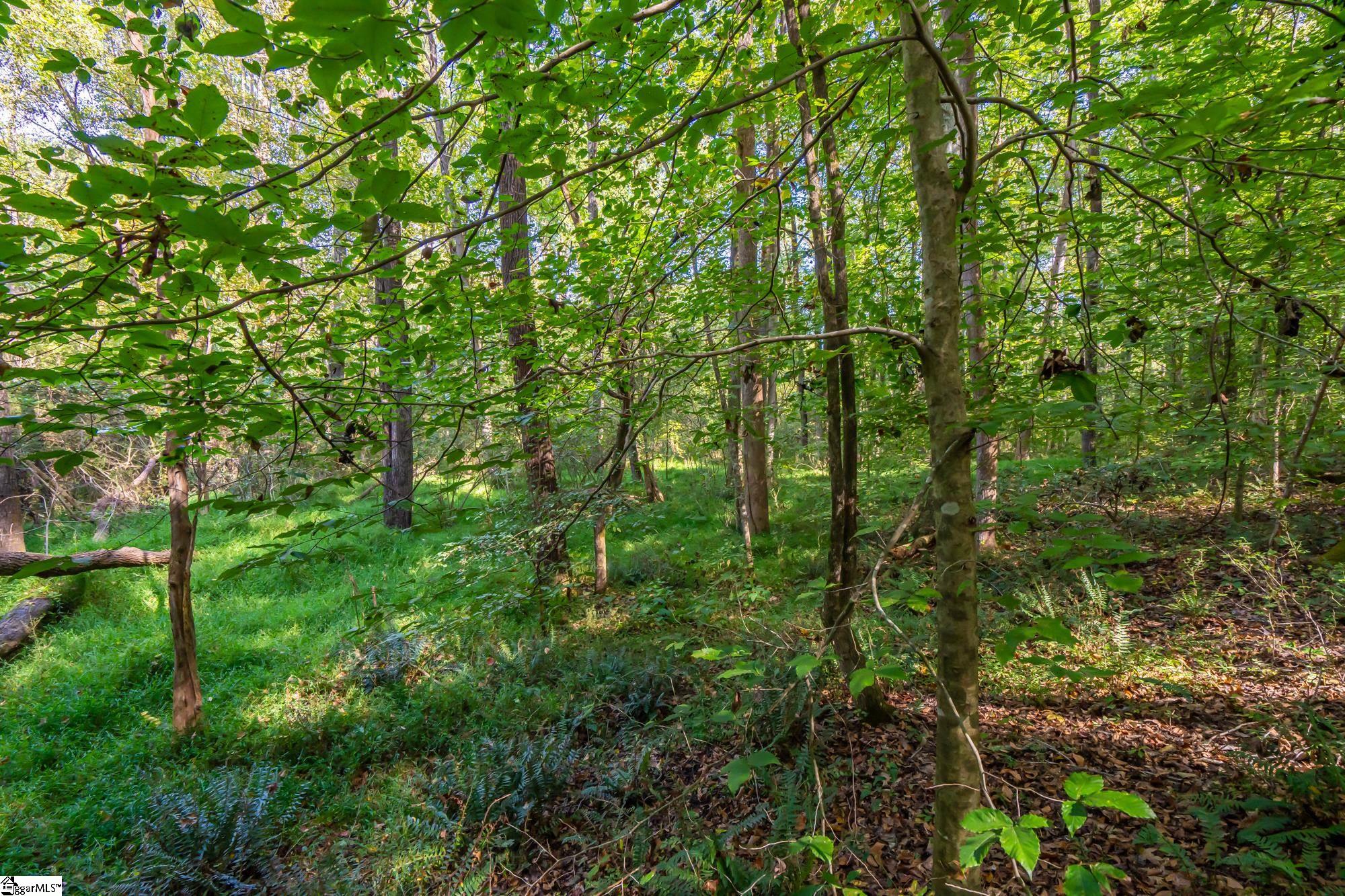 276 Burns Road, Greer, South Carolina, 29651, United States, ,Land,For Sale,276 Burns Road,1628297