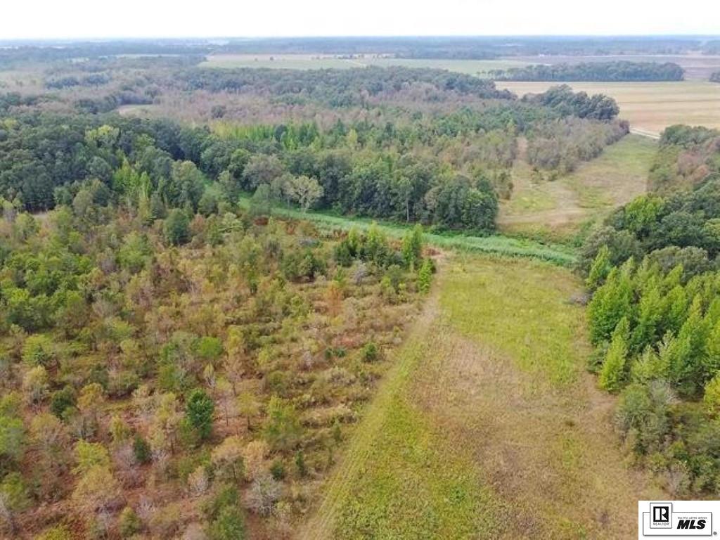 593 FORTENBERRY ROAD, Rayville, Louisiana, 71269, United States, ,Land,For Sale,593 FORTENBERRY ROAD,1683237