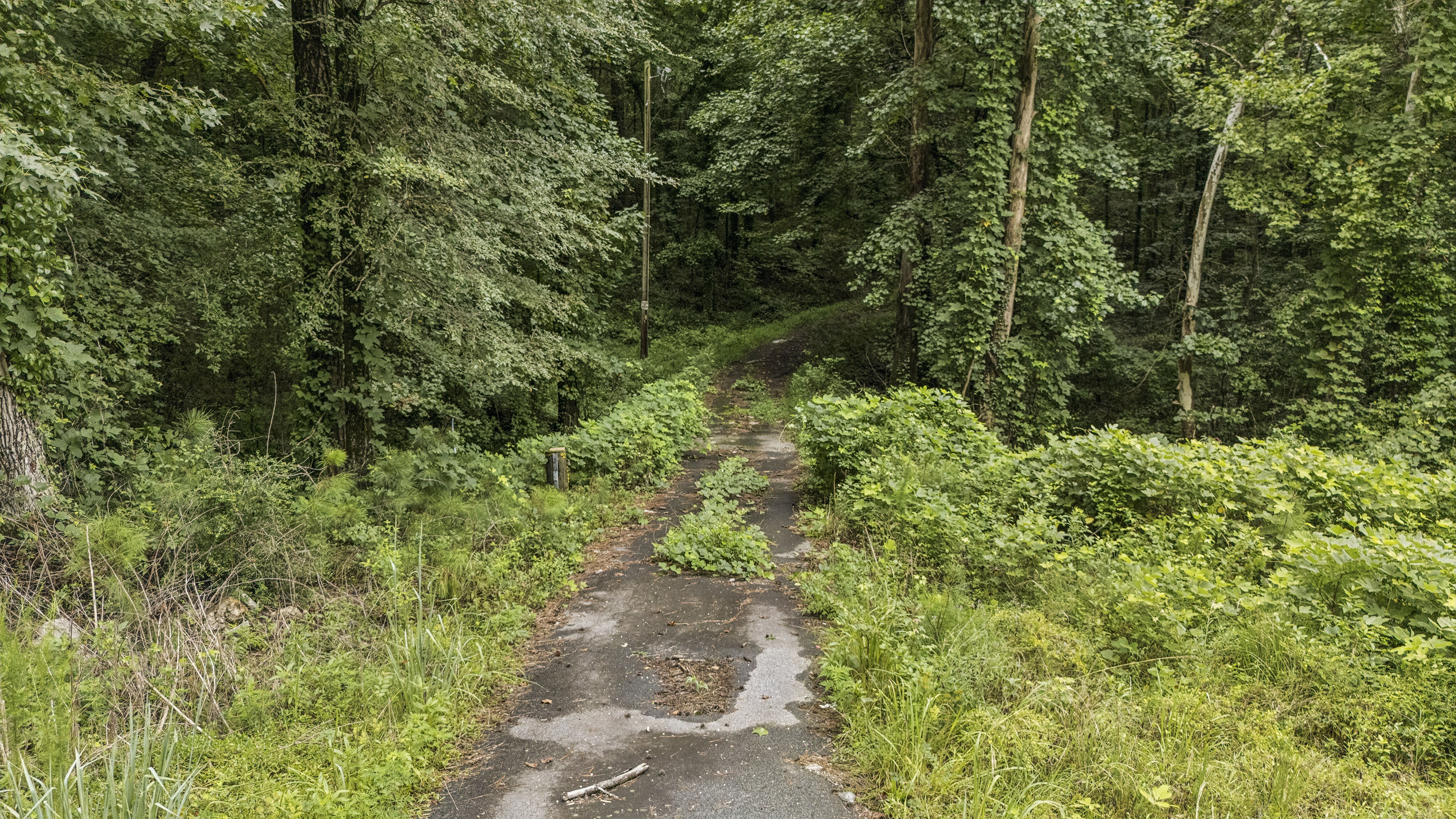  Incredible Opportunity on Over Ten Acres in Prime Stockbridge Location - 物件實景