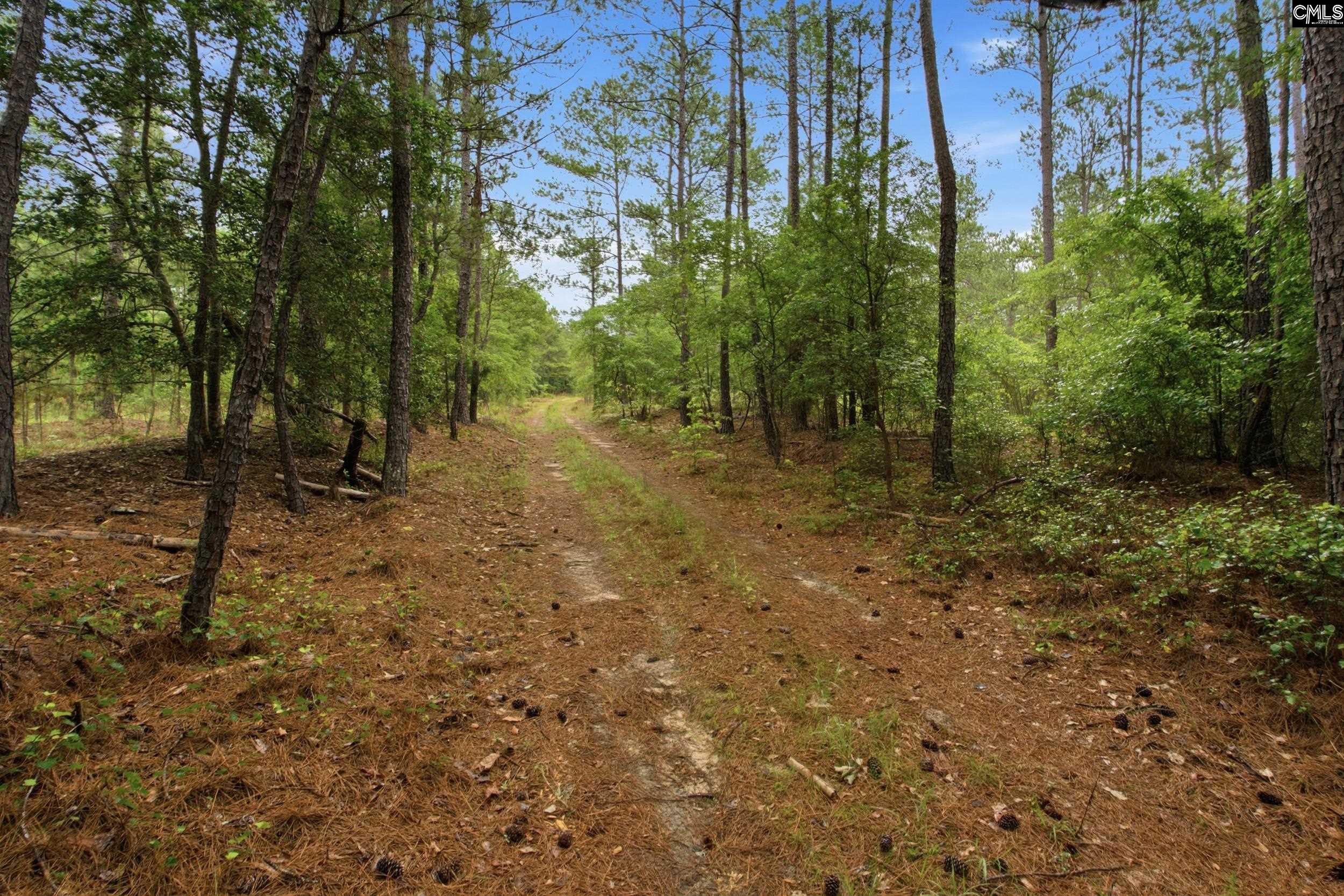  3390 Hunter Road - 物件實景