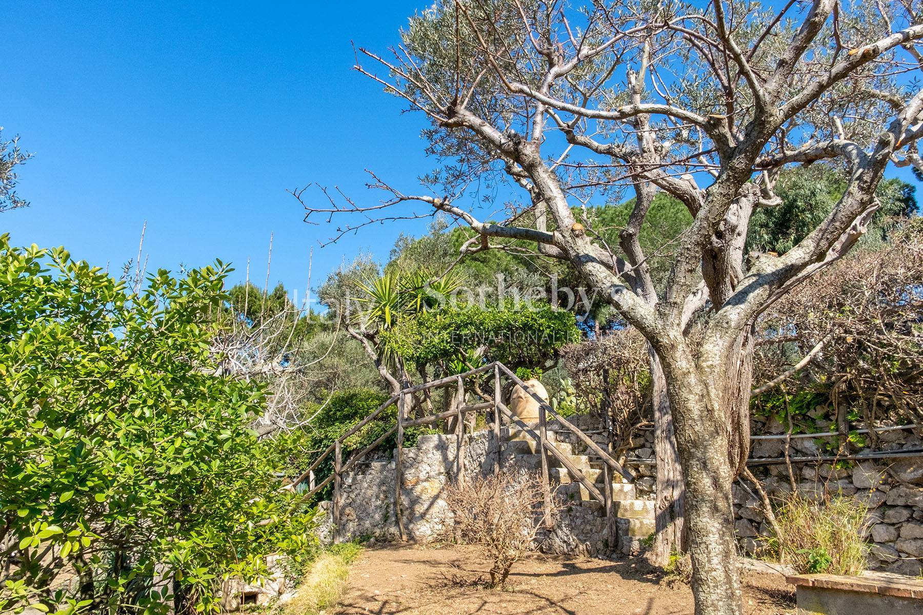  Wonderful villa with garden and seaview in Anacapri - 物件實景