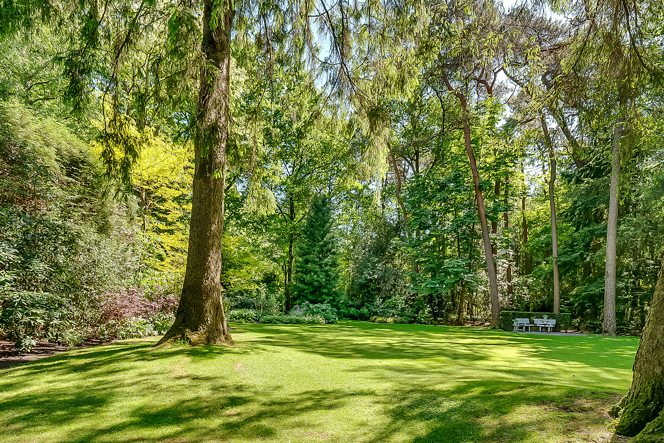  Luxury Detached Villa with Expansive Garden Estate in the Heart of Bosch en Duin - 物件實景