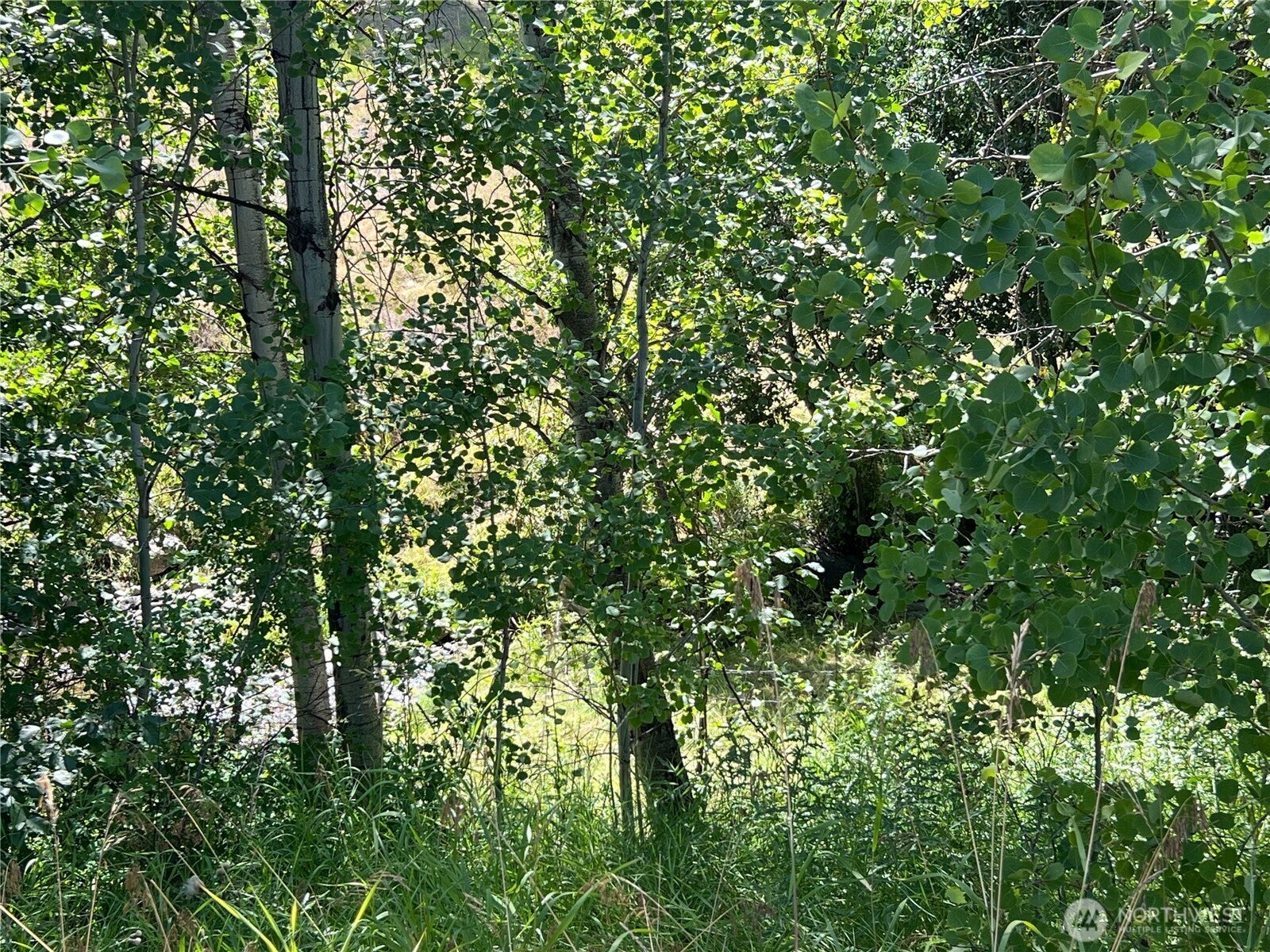 Tonasket, Washington, 98855, United States, 3 Bedrooms Bedrooms, ,2 BathroomsBathrooms,Residential,For Sale,2002069