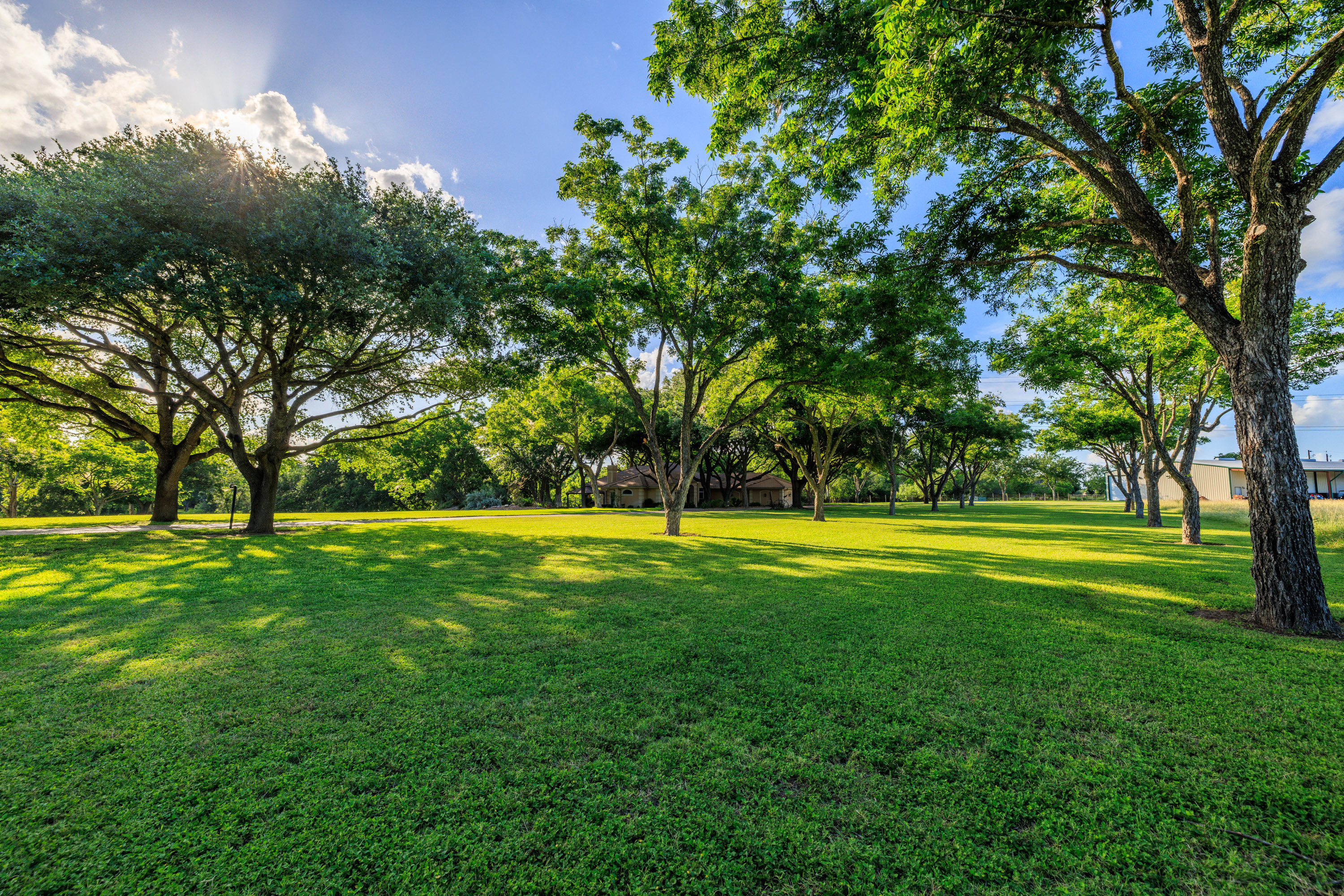  Premier Lake McQueeney Residence - 物件實景