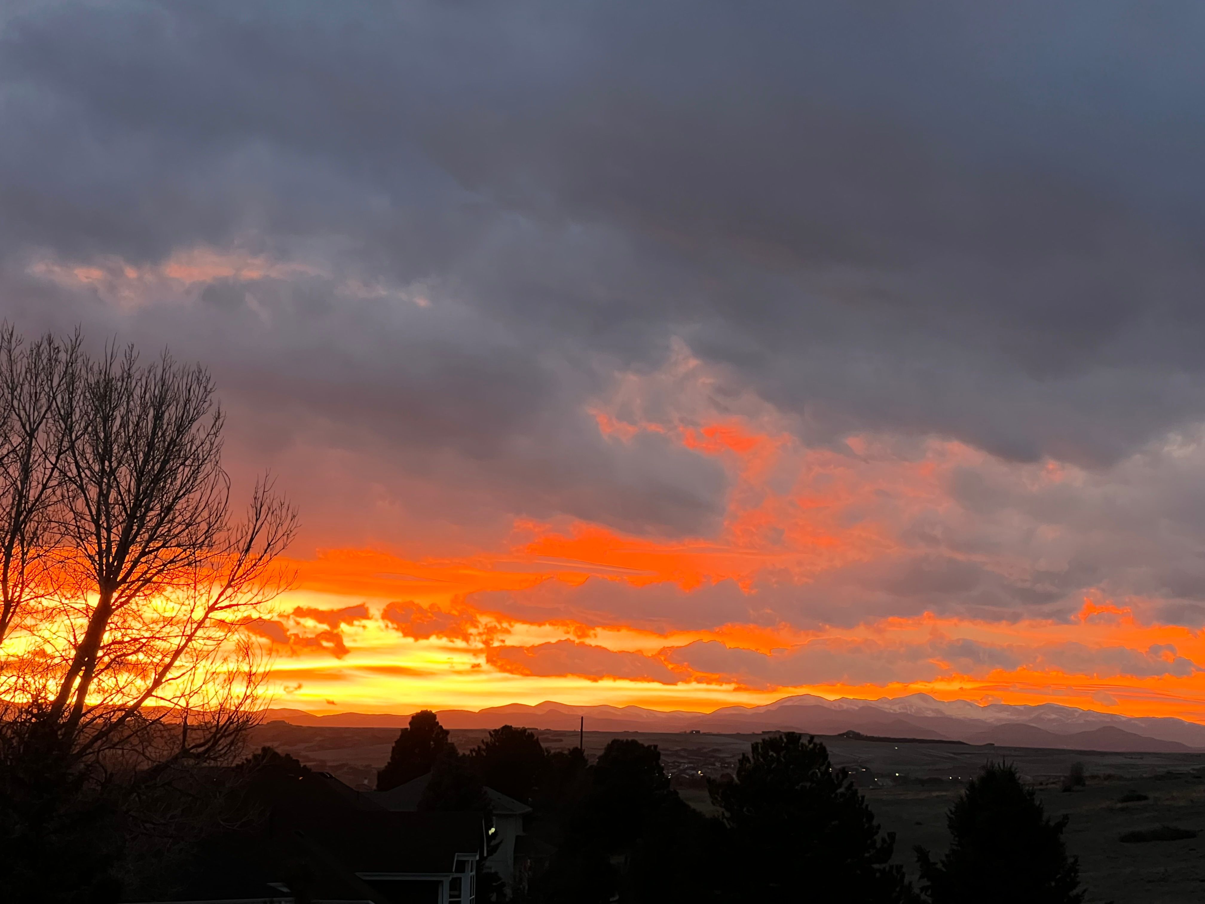  Privacy and a True Connection to Colorado’s Beauty - 物件實景
