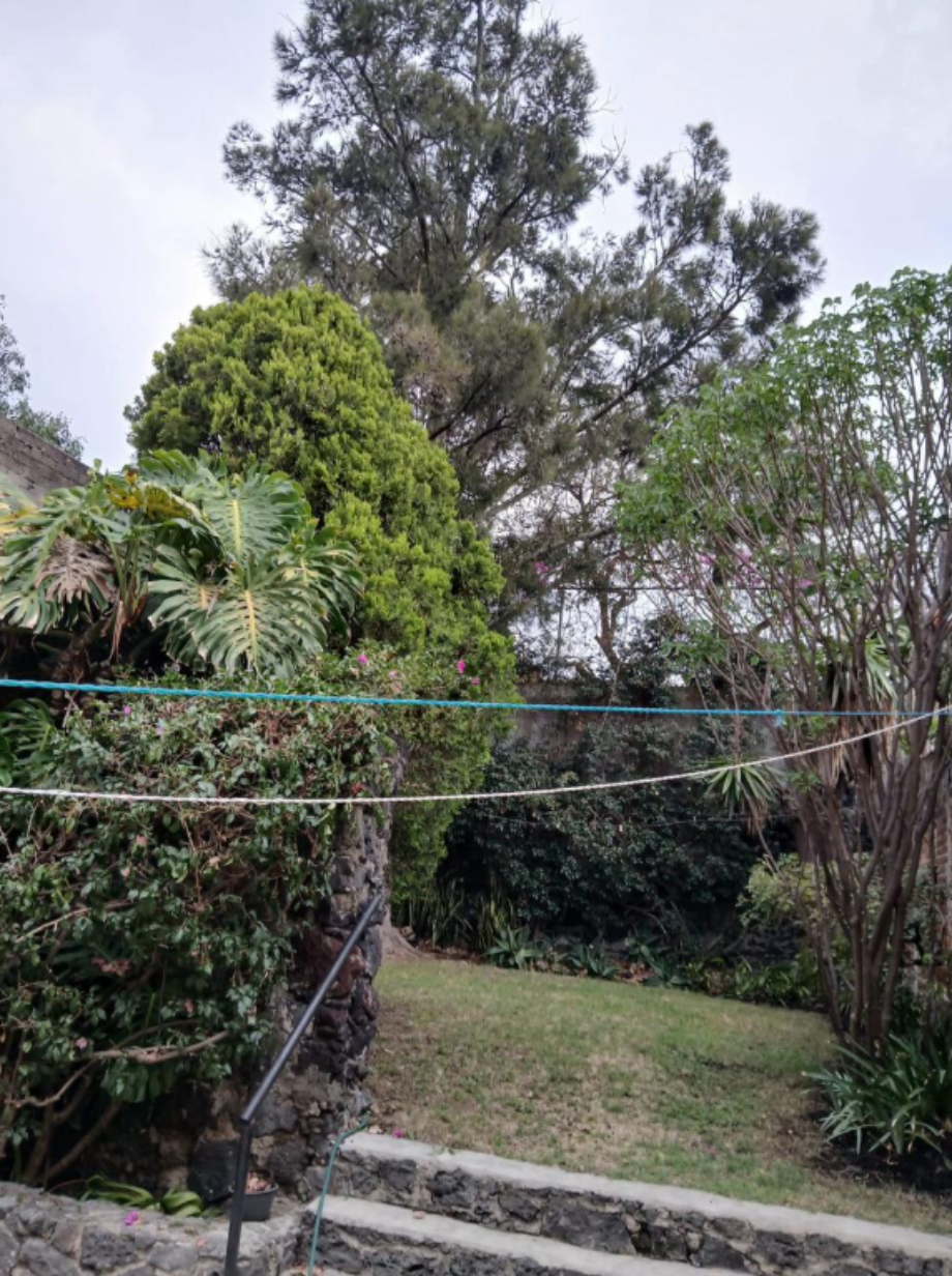 Coyoacán, Ciudad de México, 04700, Mexico, 5 Bedrooms Bedrooms, ,2 BathroomsBathrooms,Residential,For Sale,1849593