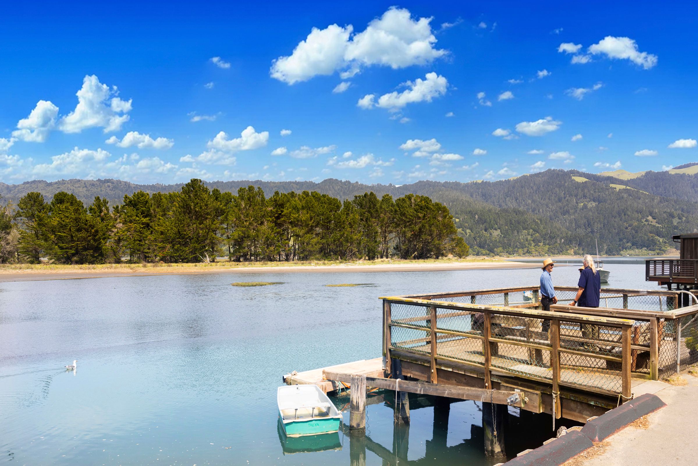  Beachfront Icon in Bolinas - 物件實景