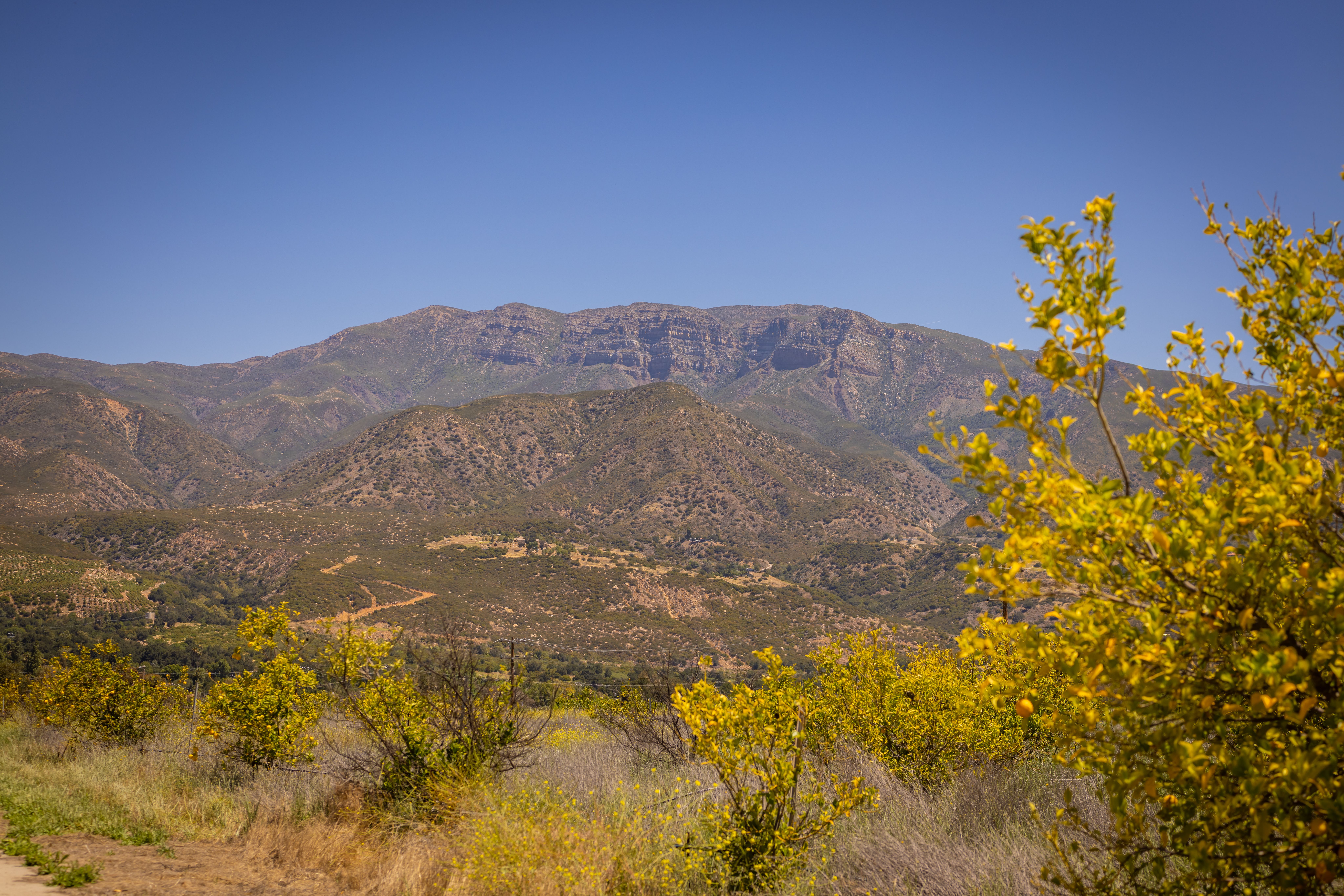  12400 Ojai Santa Paula Road, Ojai, CA 93023 - 物件實景