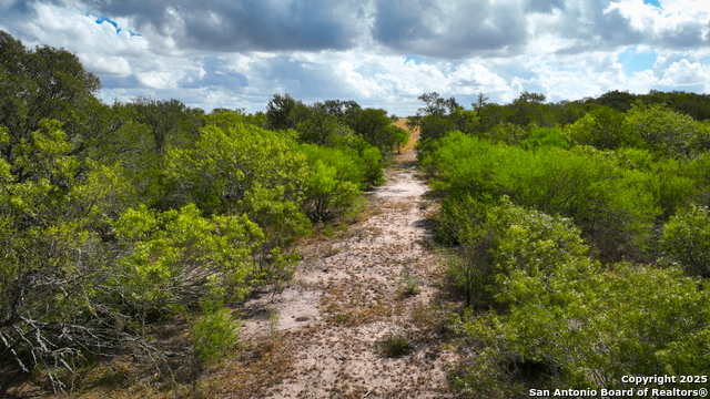 Nixon, Texas, 78140, United States, ,Residential,For Sale,1988320