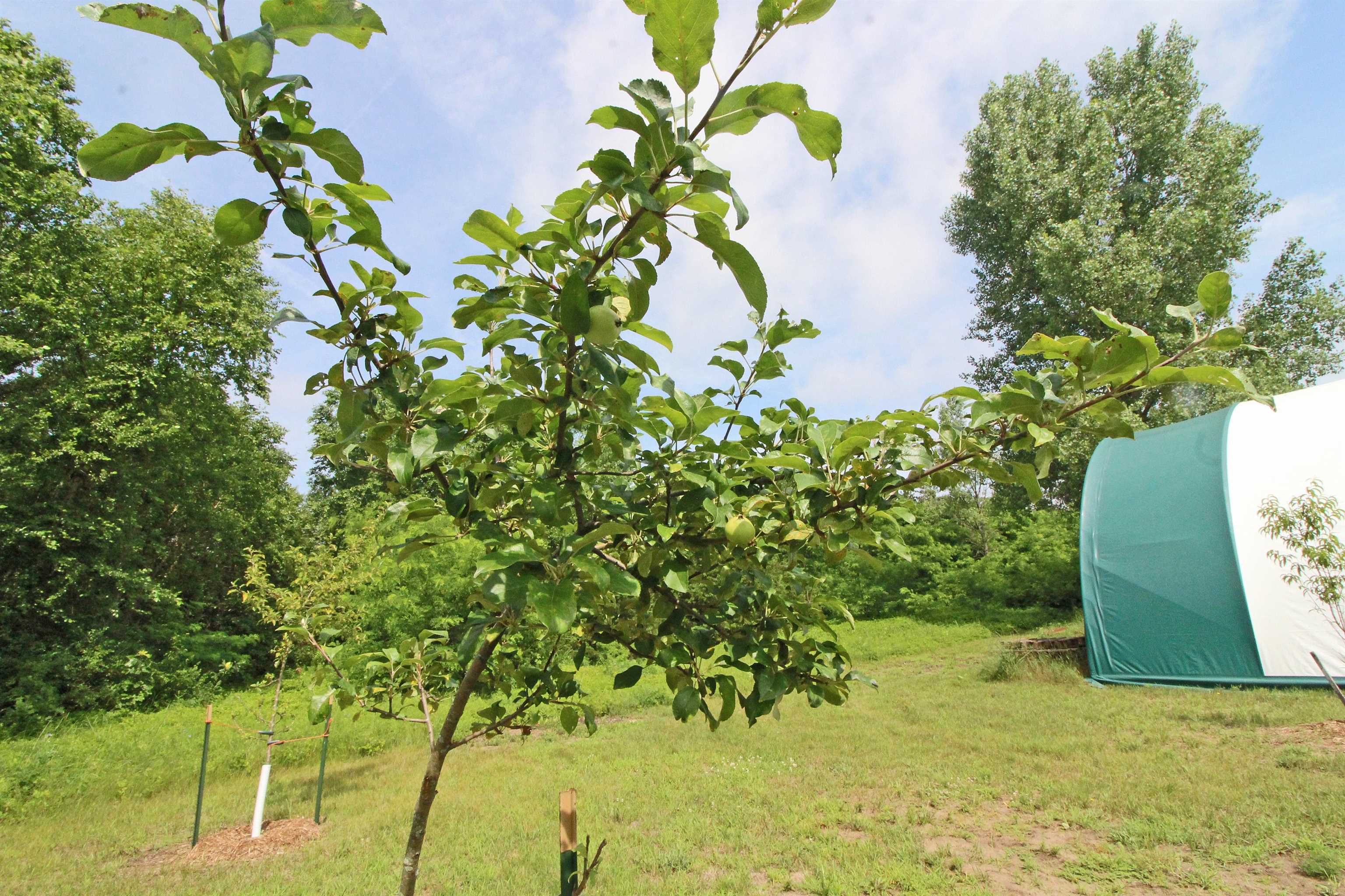 Arena, Wisconsin, 53503, United States, 3 Bedrooms Bedrooms, ,2 BathroomsBathrooms,Residential,For Sale,1980037