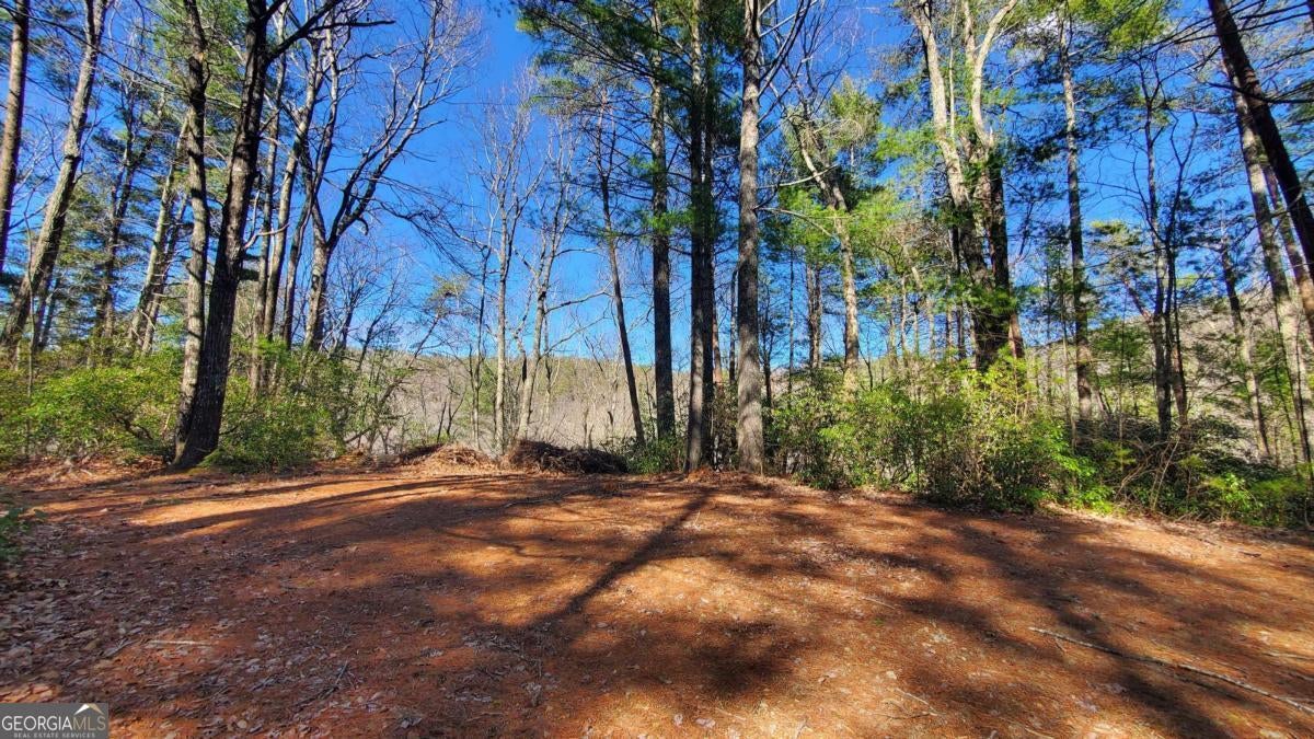 Cherry Log, Georgia, 30522, United States, ,Land,For Sale,1859131