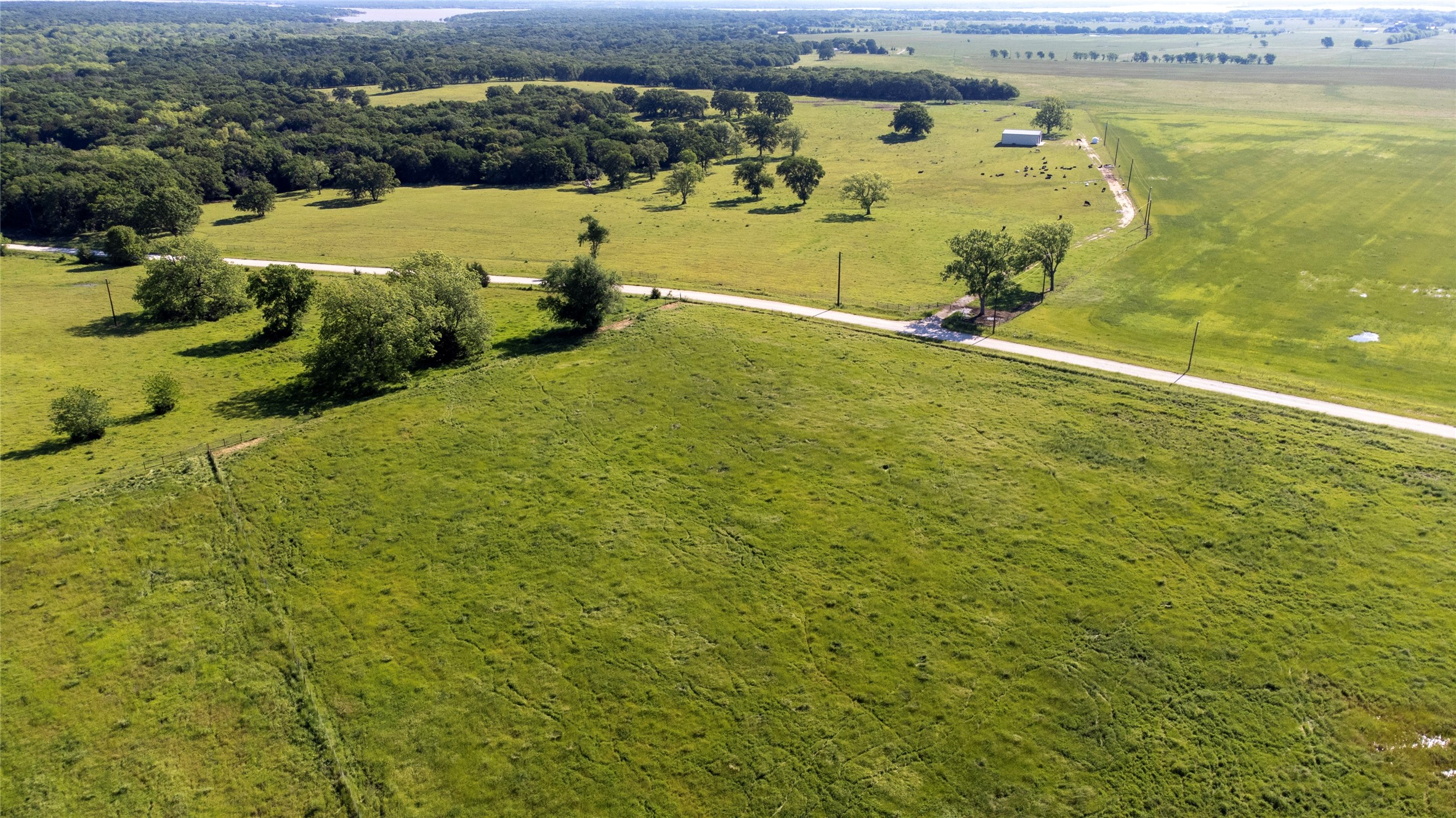Sadler, Texas, 76264, United States, ,Land,For Sale,1837426