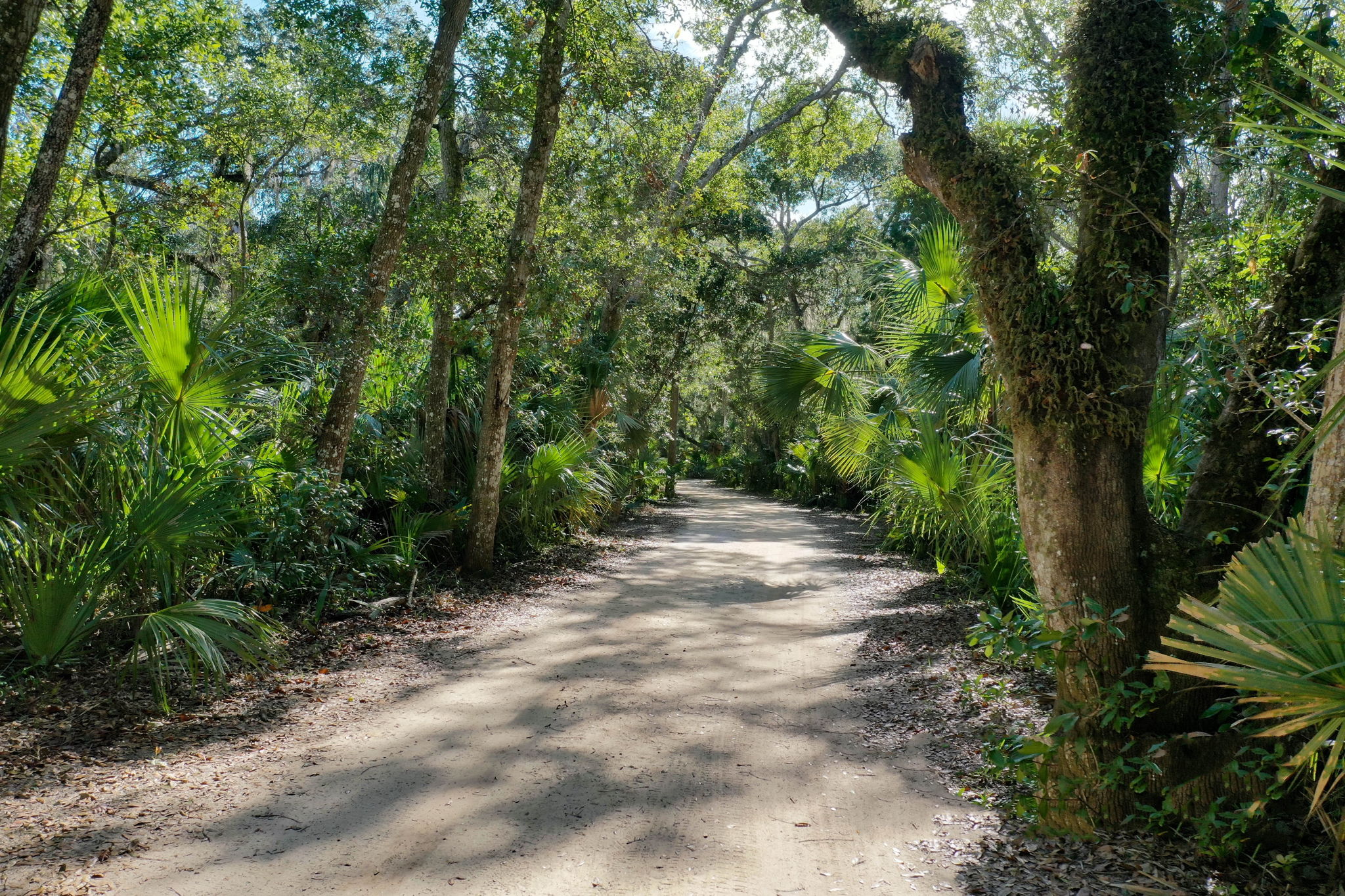  61 Las Casitas Boulevard, Palm Coast, FL, 32137 - 物件實景