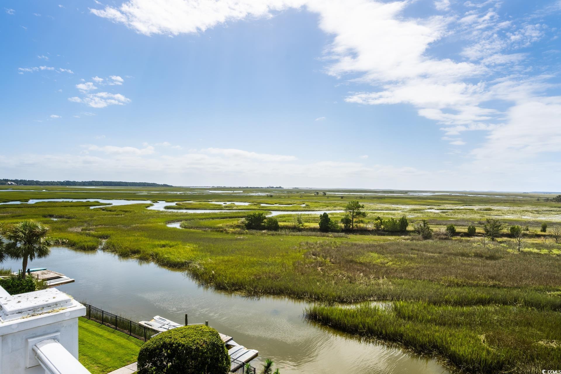  160 Colony Pointe Drive  DeBordieu Colony - 物件實景