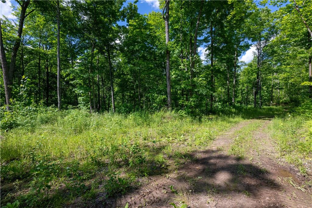 Hayward, Wisconsin, 54843, United States, 3 Bedrooms Bedrooms, ,2 BathroomsBathrooms,Residential,For Sale,1862003
