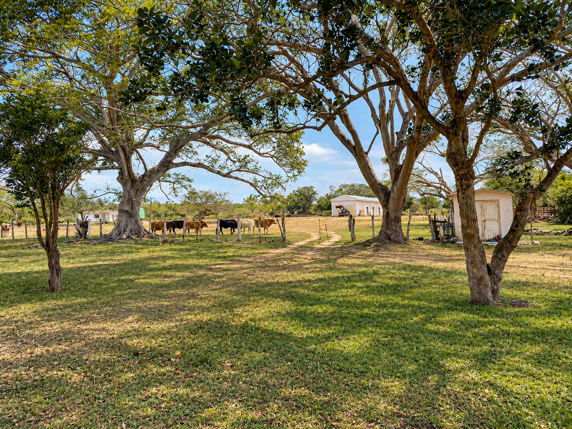  Expansive Ranch with Agricultural Land and Water Resources - 物件實景