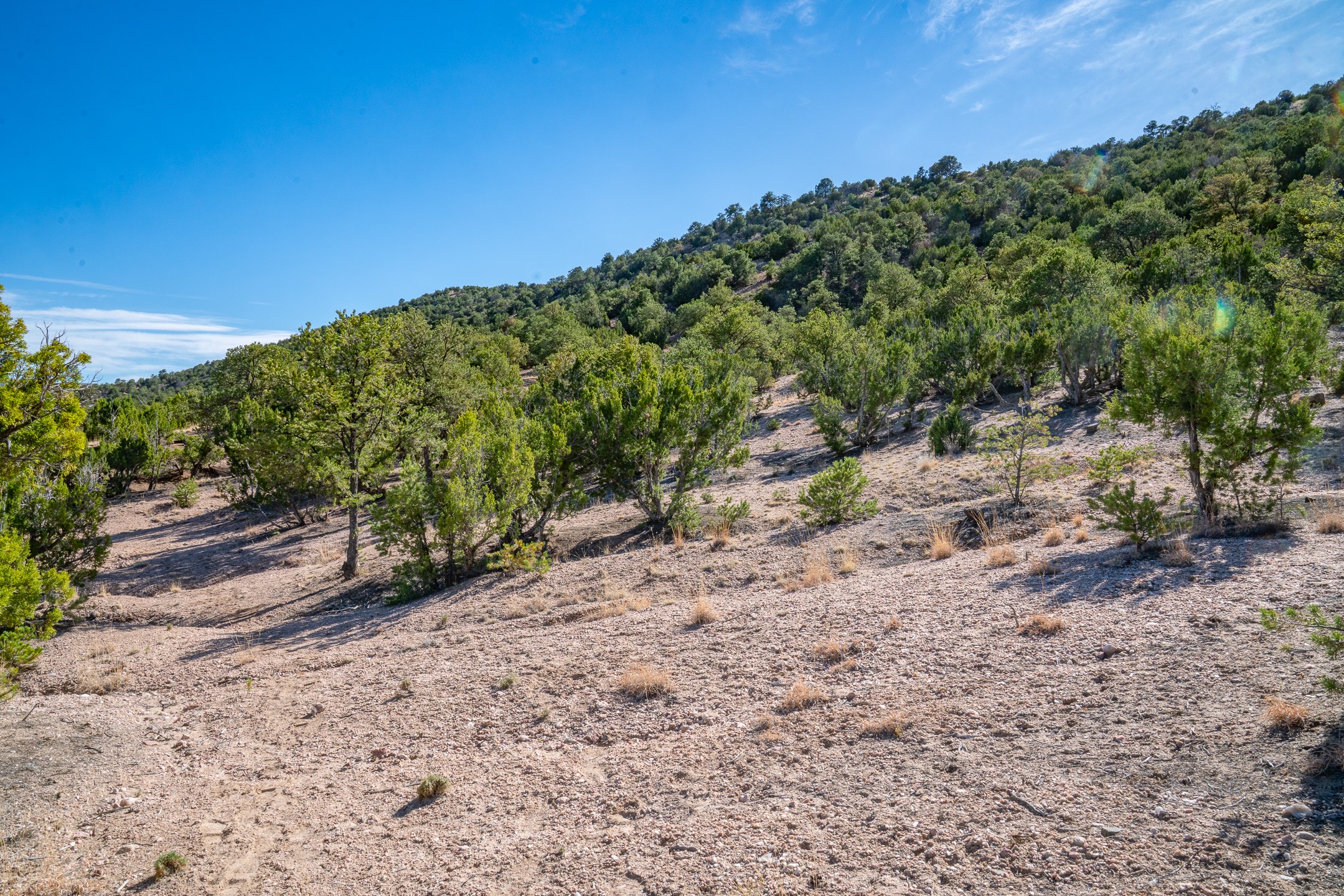  3.5 Acre Lot Camino Del Canon - 物件實景