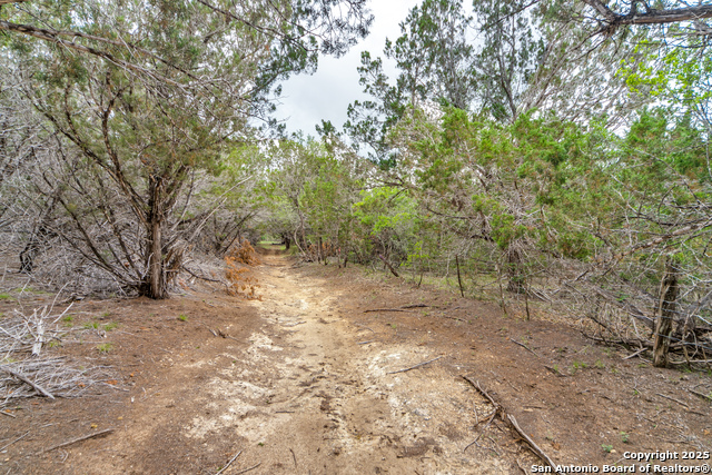 Bandera, Texas, 78003, United States, ,Residential,For Sale,1792989