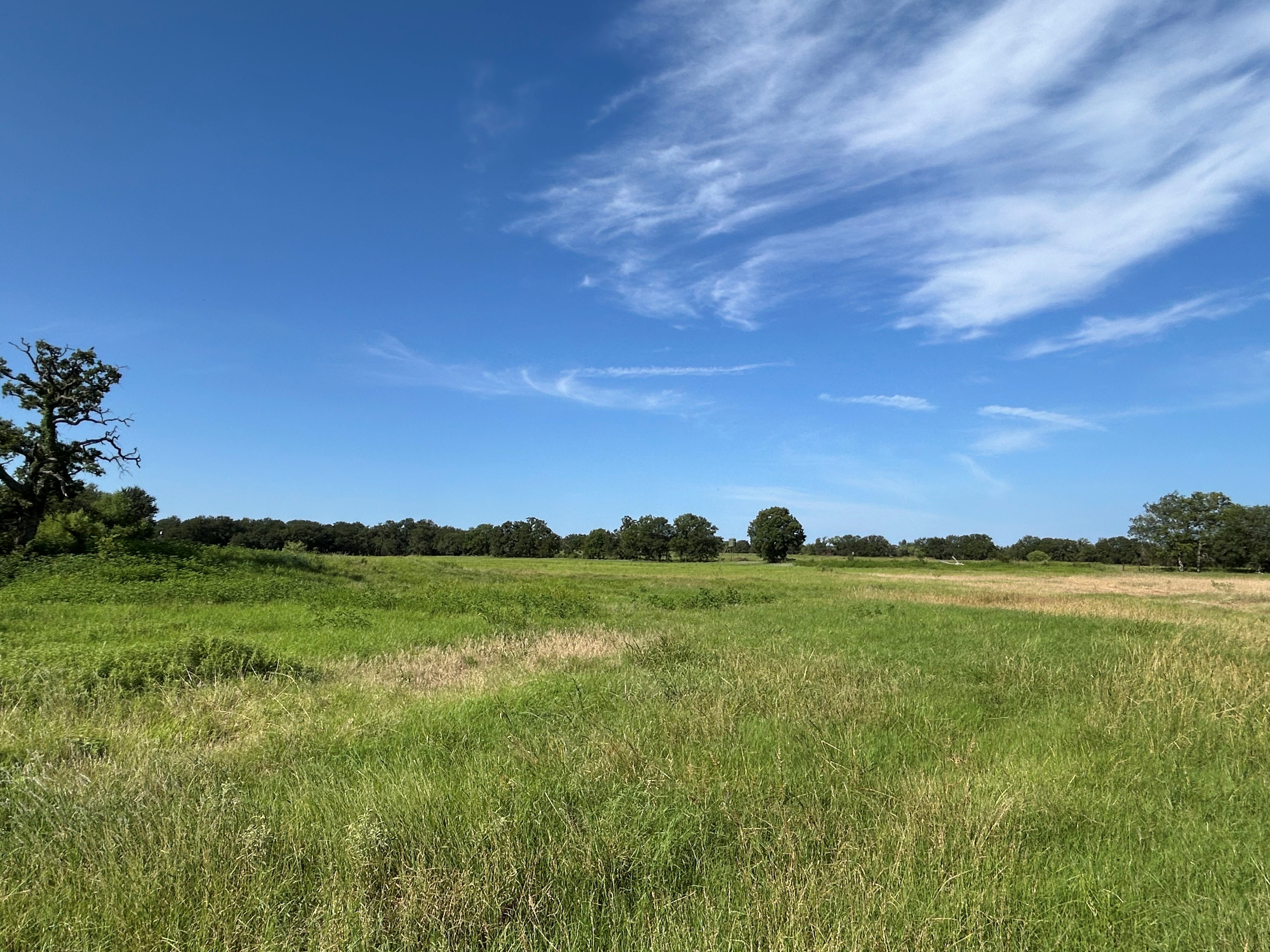 Bridgeport, Texas, 76426, United States, ,Land,For Sale,1981851