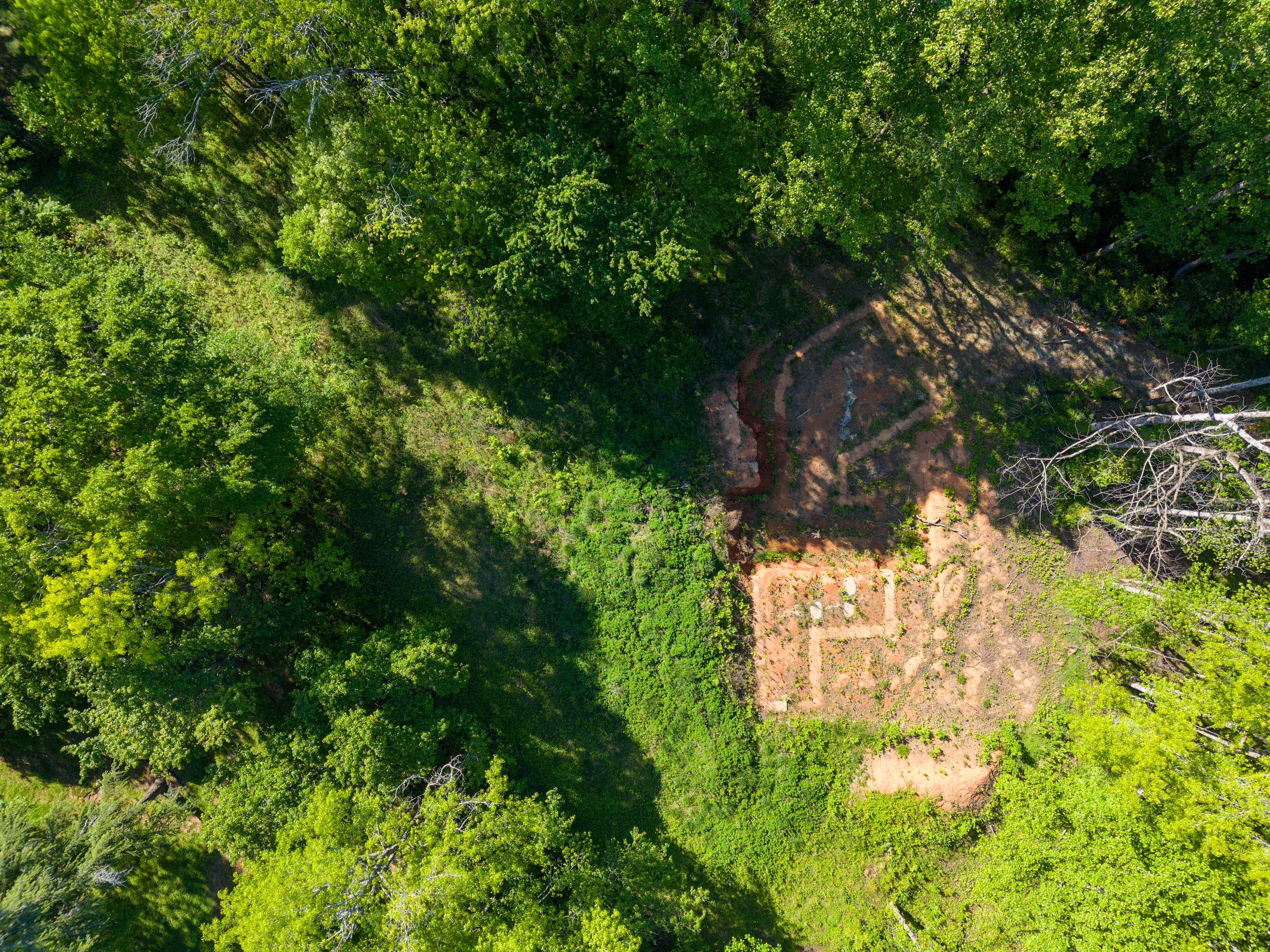  6 Stratton Place, Greenville, SC 29615 - 物件實景