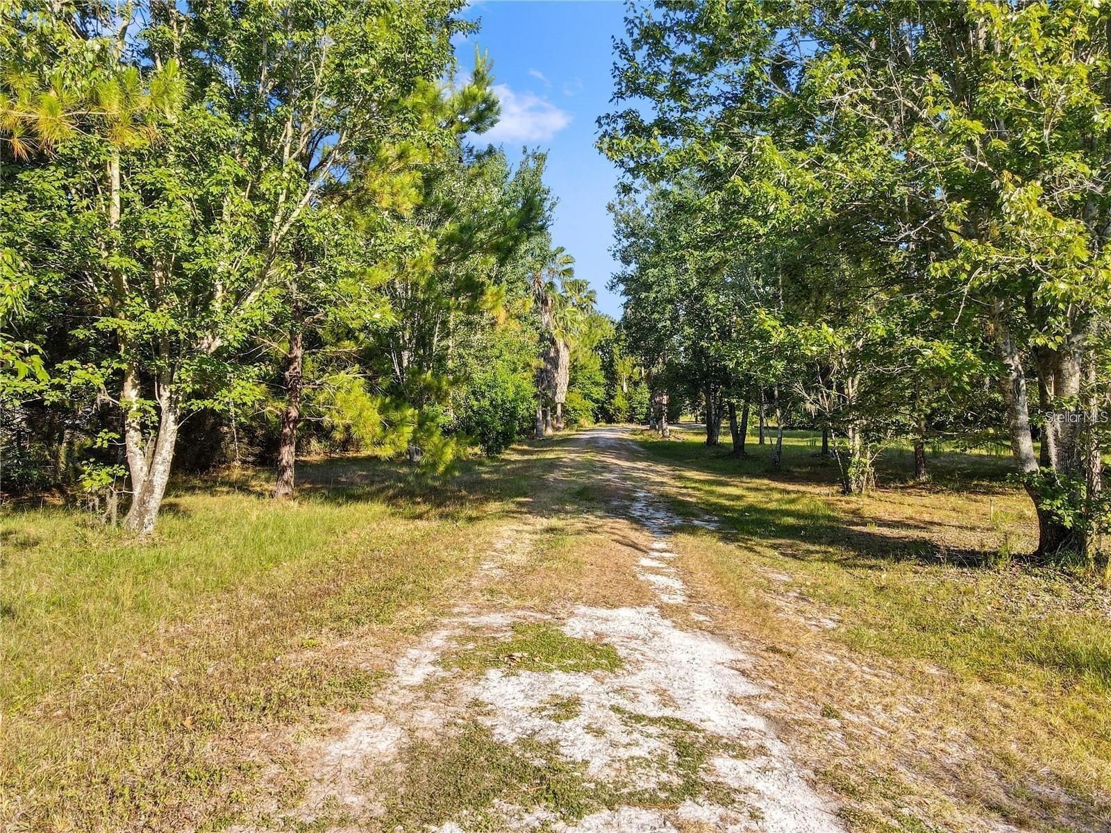 KATHLEEN, Florida, 33849, United States, 4 Bedrooms Bedrooms, ,3 BathroomsBathrooms,Residential,For Sale,1935100