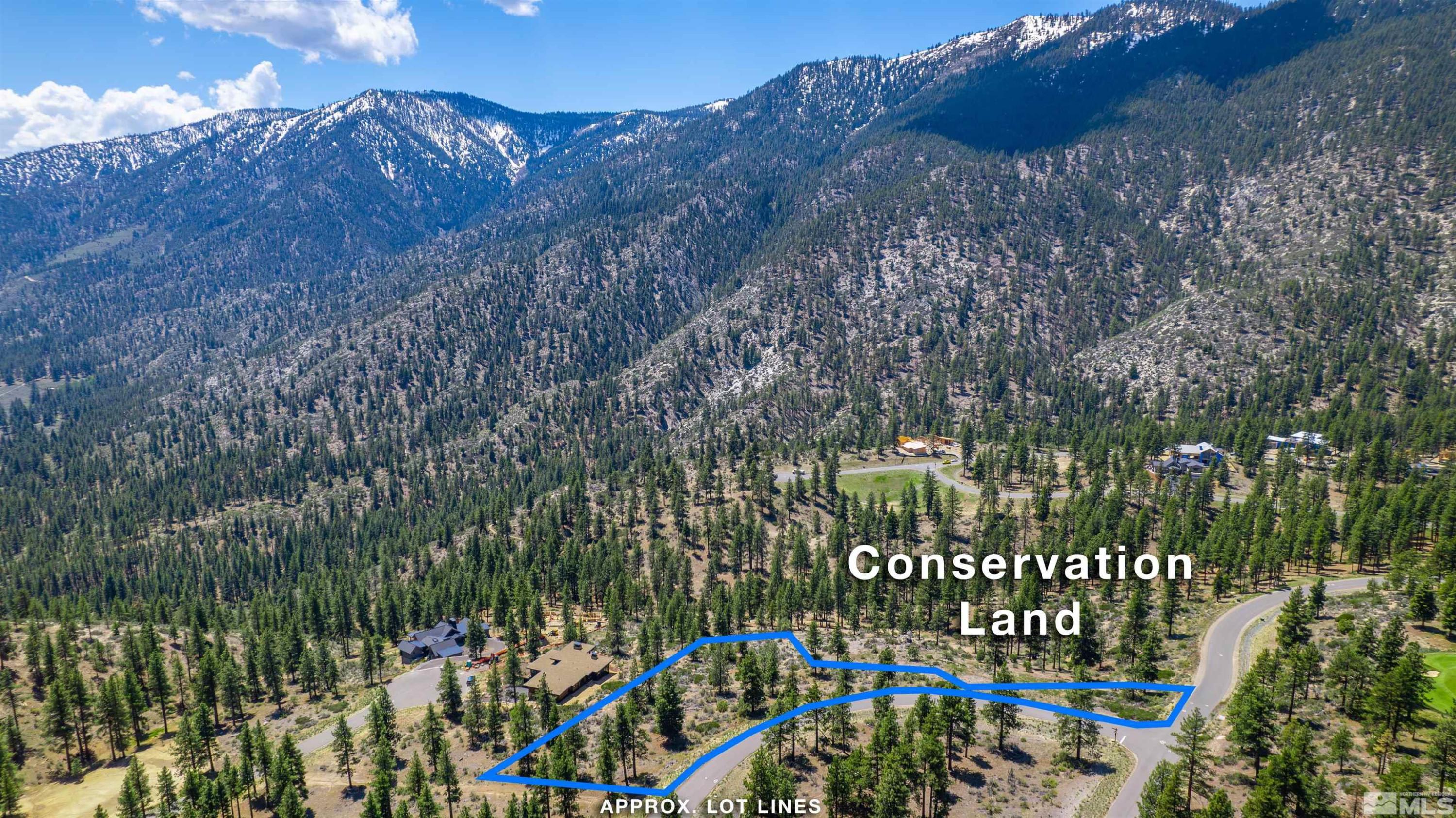 Carson City, Nevada, 89705, United States, ,Land,For Sale,1828130