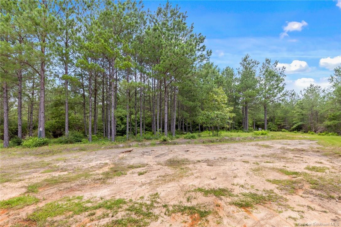 1781 Barham Road, Hornbeck, Louisiana, 71439, United States, 2 Bedrooms Bedrooms, ,2 BathroomsBathrooms,Residential,For Sale,1781 Barham Road,1623067