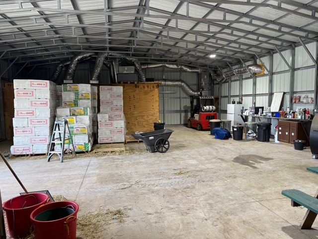 Odessa, Florida, 33556, United States, ,Land,For Sale,1974573