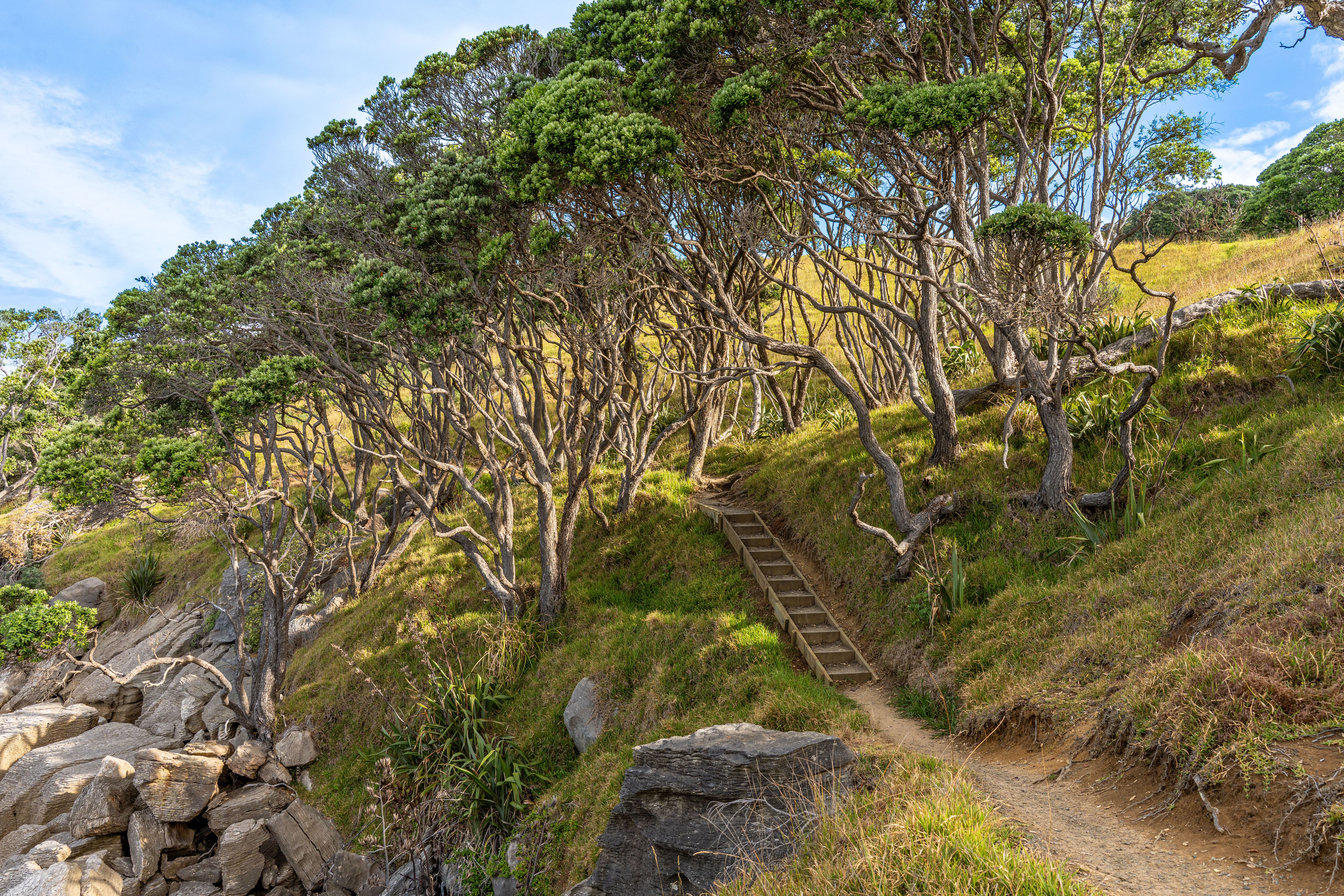  1067 Cove Road, Langs Beach - 物件實景