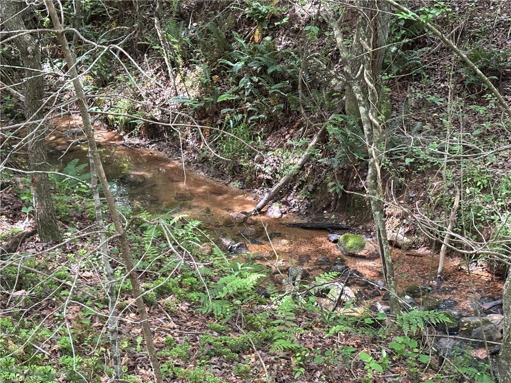 Pinnacle, North Carolina, 27043, United States, ,Land,For Sale,1829534