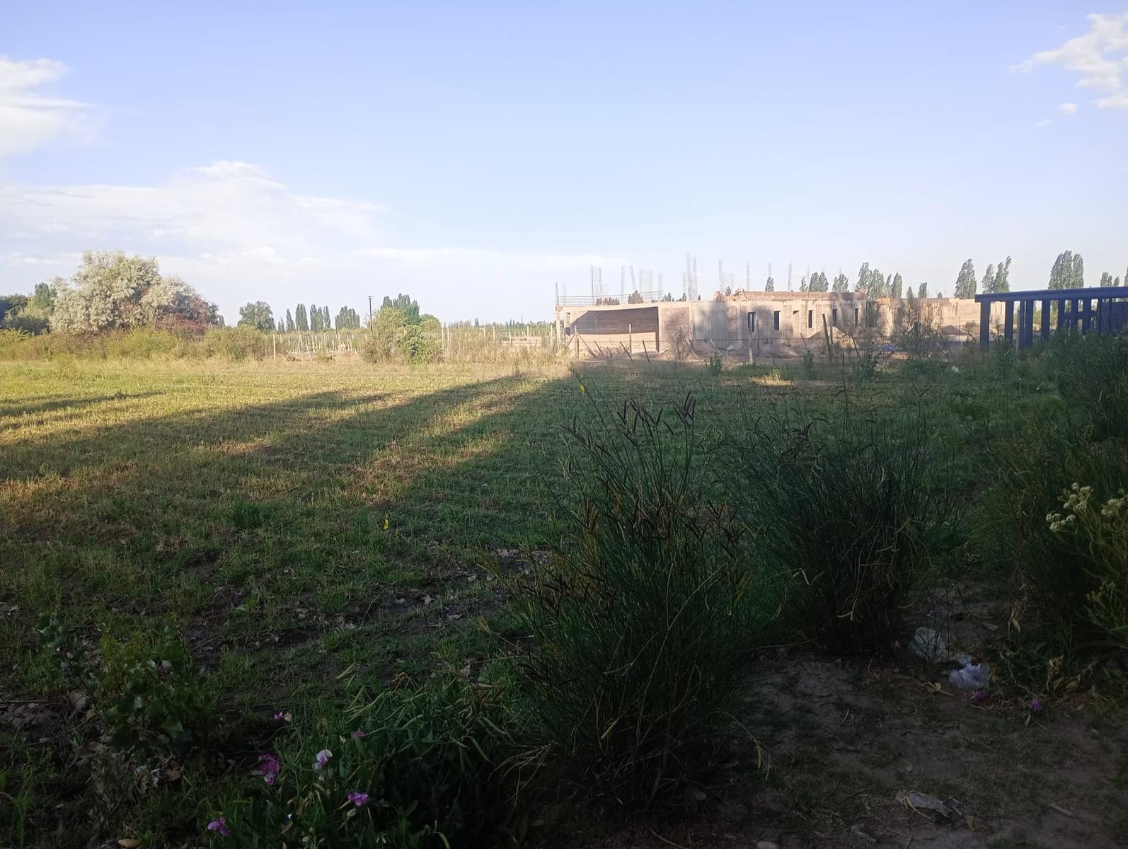 Lujan De Cuyo, AR-M, AR, ,Land,For Sale,1819994