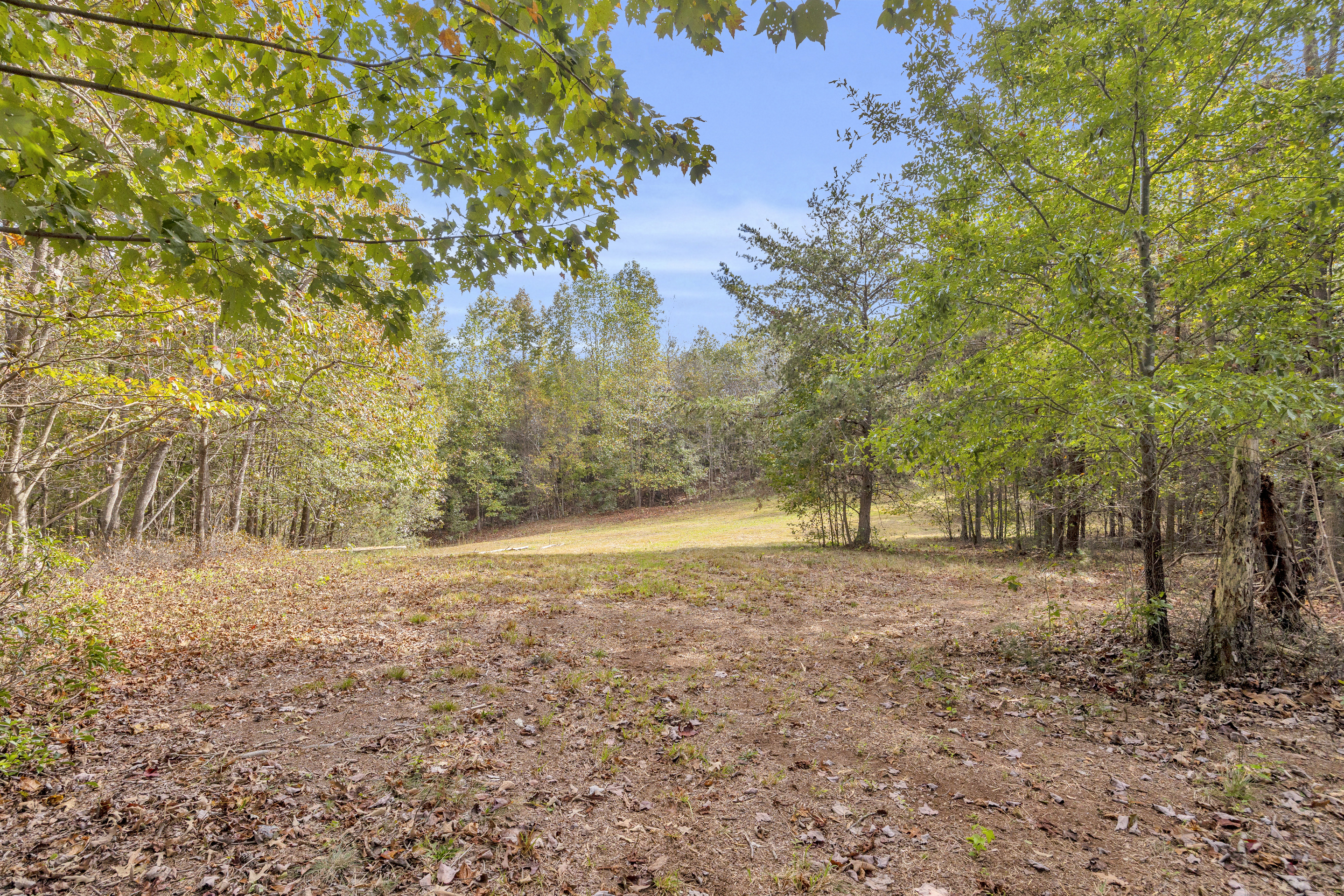 Cleveland, Georgia, 30528, United States, 3 Bedrooms Bedrooms, ,2 BathroomsBathrooms,Residential,For Sale,1979350