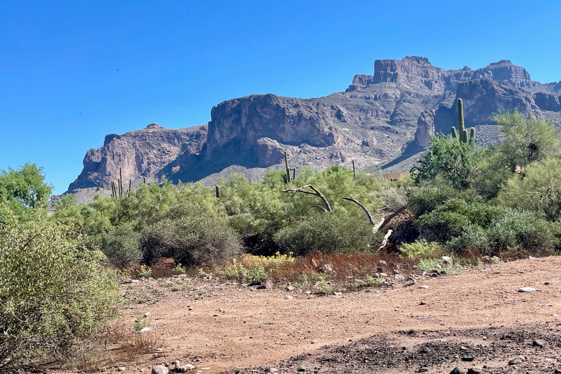  52 E Scenic (geronimo) Street¦Apache Junction, AZ - 物件實景