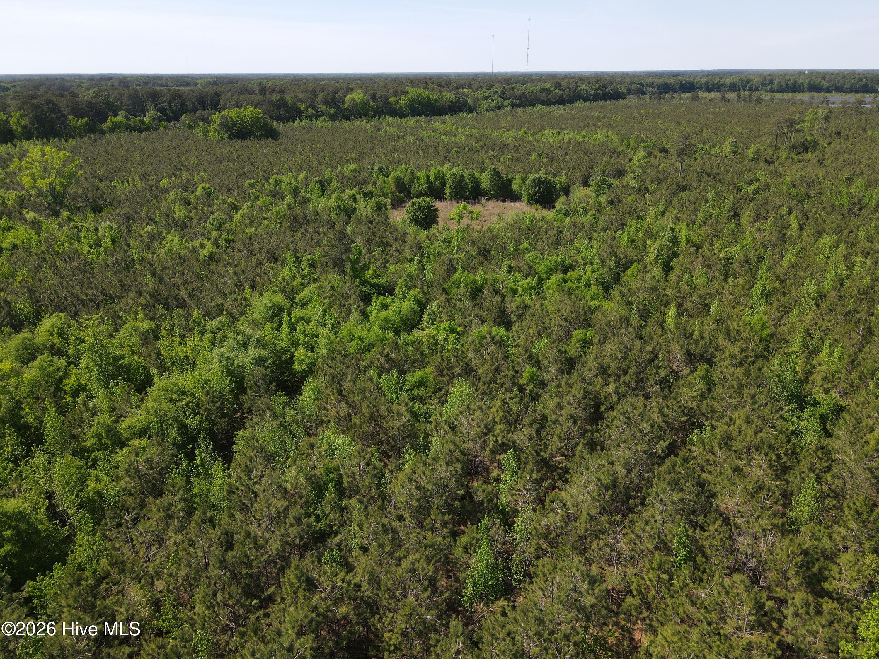 Ahoskie, North Carolina, 27910, United States, ,Land,For Sale,2048833