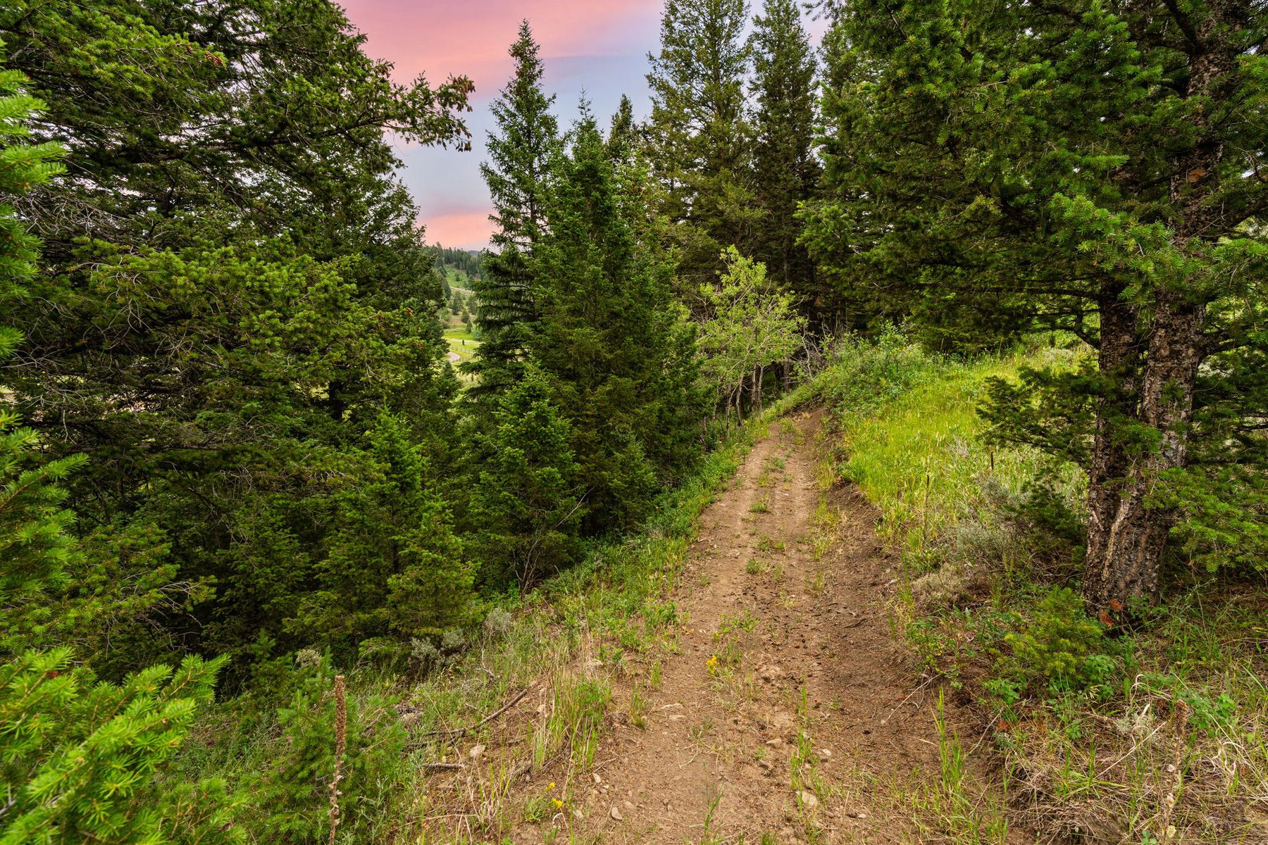 215 Timberline Creek Dr - 物件實景