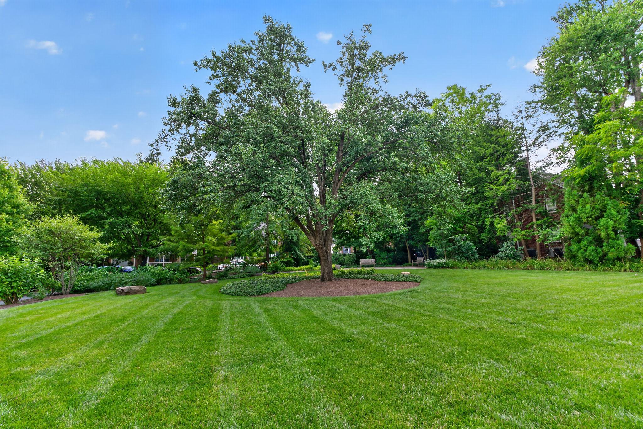  4600 Connecticut Avenue NW, Washington, DC, 20008 - 物件實景