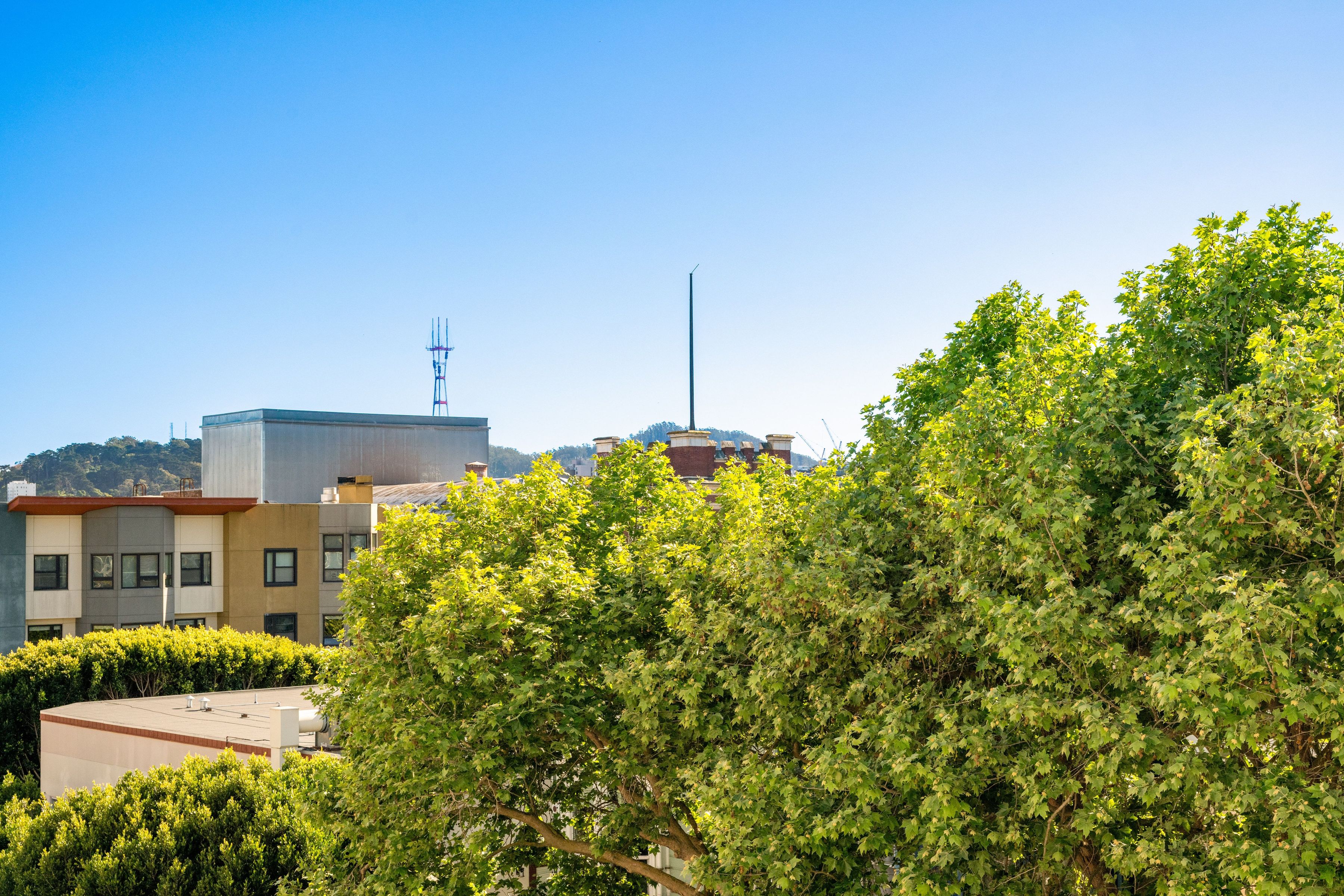  1880 Steiner Street #403 - 物件實景