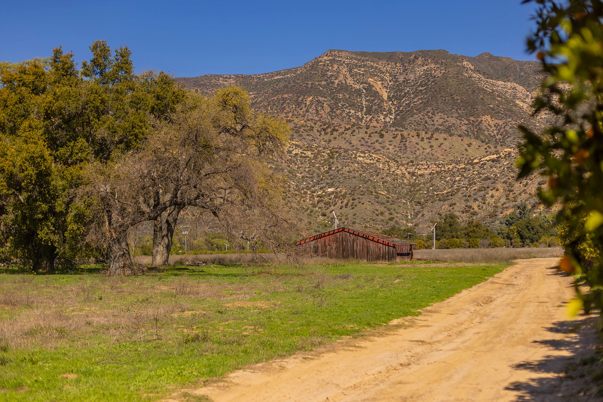  1201 Grand Avenue, Ojai, CA 93023 - 物件實景