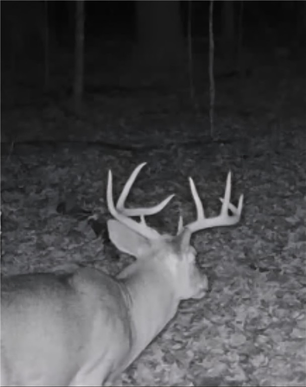 Chetek, Wisconsin, 54728, United States, 2 Bedrooms Bedrooms, ,2 BathroomsBathrooms,Residential,For Sale,1939272