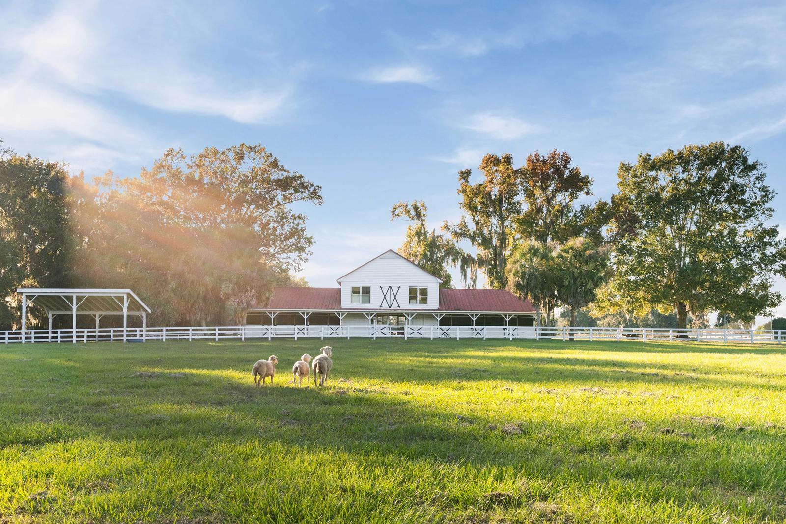 Yemassee, South Carolina, 29945, United States, 6 Bedrooms Bedrooms, ,7 BathroomsBathrooms,Residential,For Sale,1989284