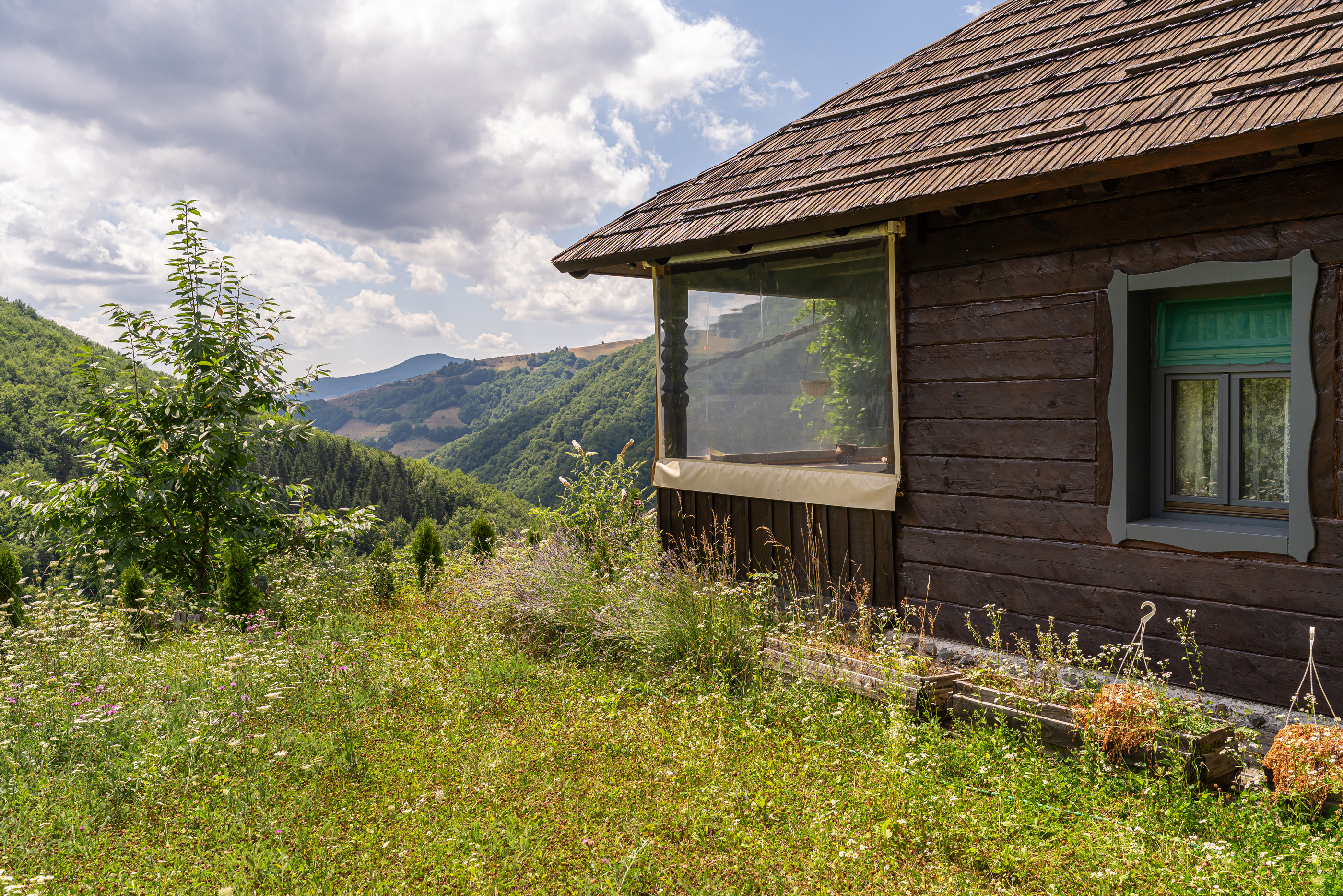  Versatile 22-Hectare Private Estate - Forested Heart of the Apuseni Mountains - 物件實景