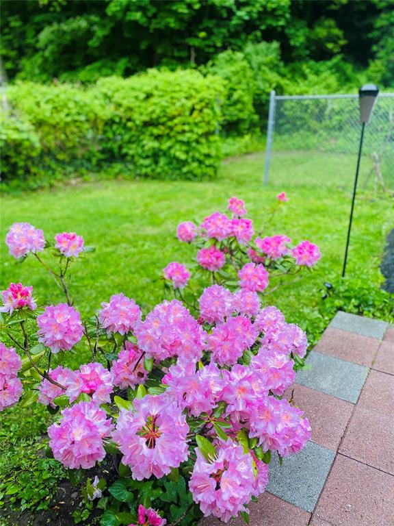 Yonkers, New York, 10710, United States, 3 Bedrooms Bedrooms, ,2 BathroomsBathrooms,Residential,For Sale,1982503