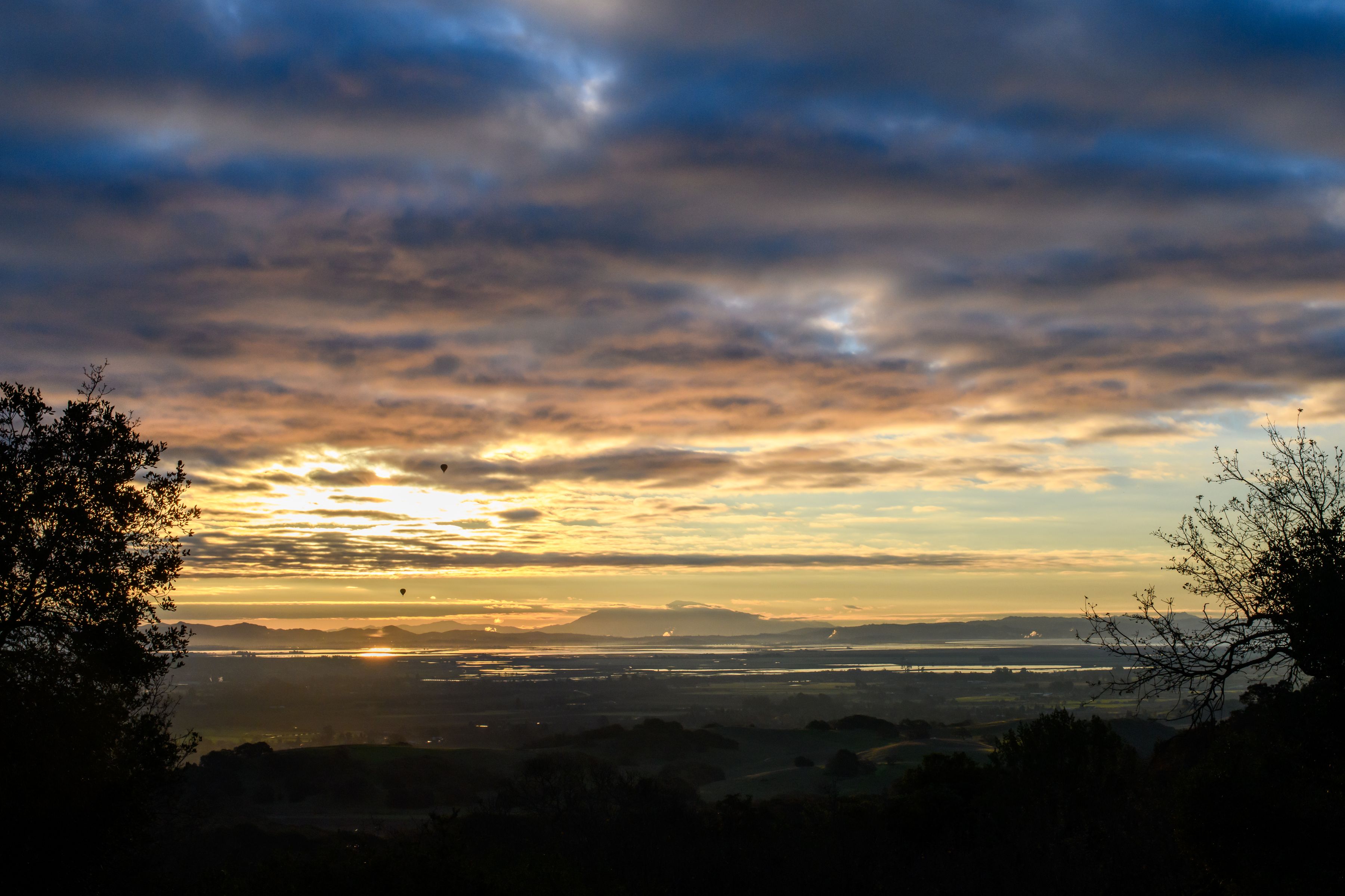  Elegance & Comfort in Sonoma - 物件實景
